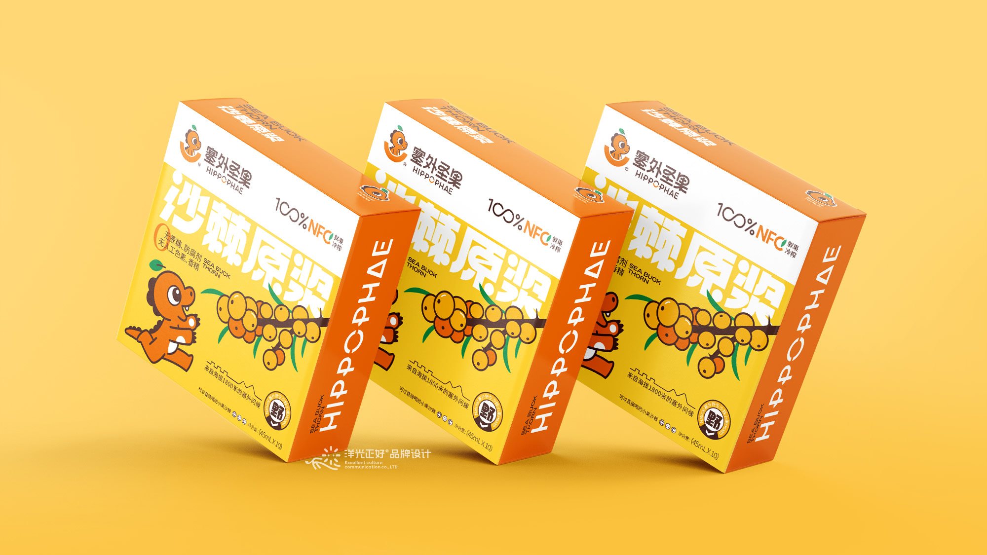 沙棘原浆包装+饮料包装+食品包装设计+LOGO+VI设计+ip-28.jpg