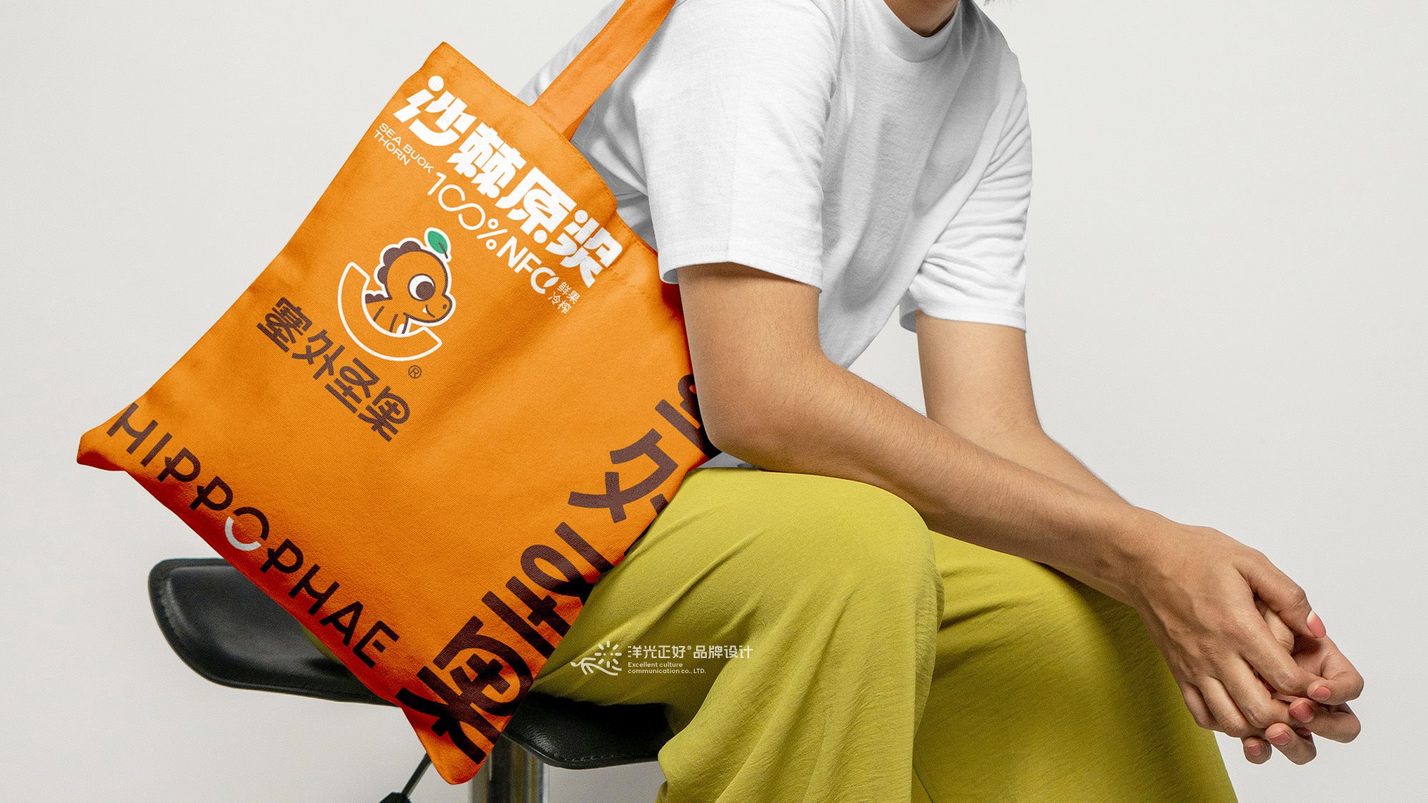 沙棘原浆包装+饮料包装+食品包装设计+LOGO+VI设计+ip-32.jpg