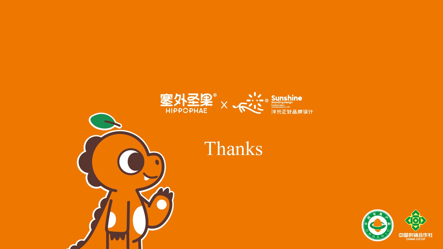 沙棘原浆包装+饮料包装+食品包装设计+LOGO+VI设计+ip-34.jpg