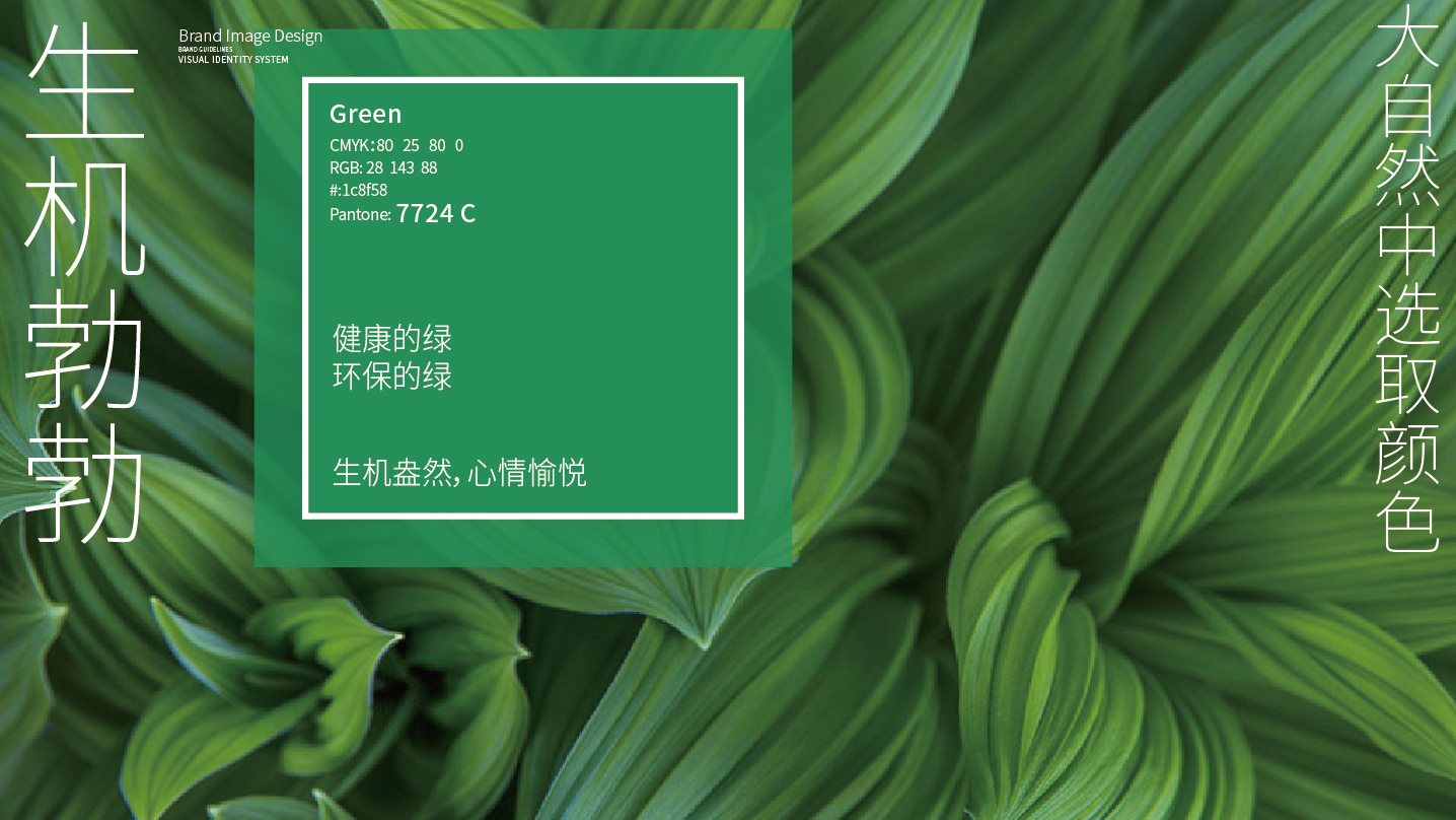 宠物品牌全案设计+LOGO+猫粮包装+包装设计+vi设计-05.jpg