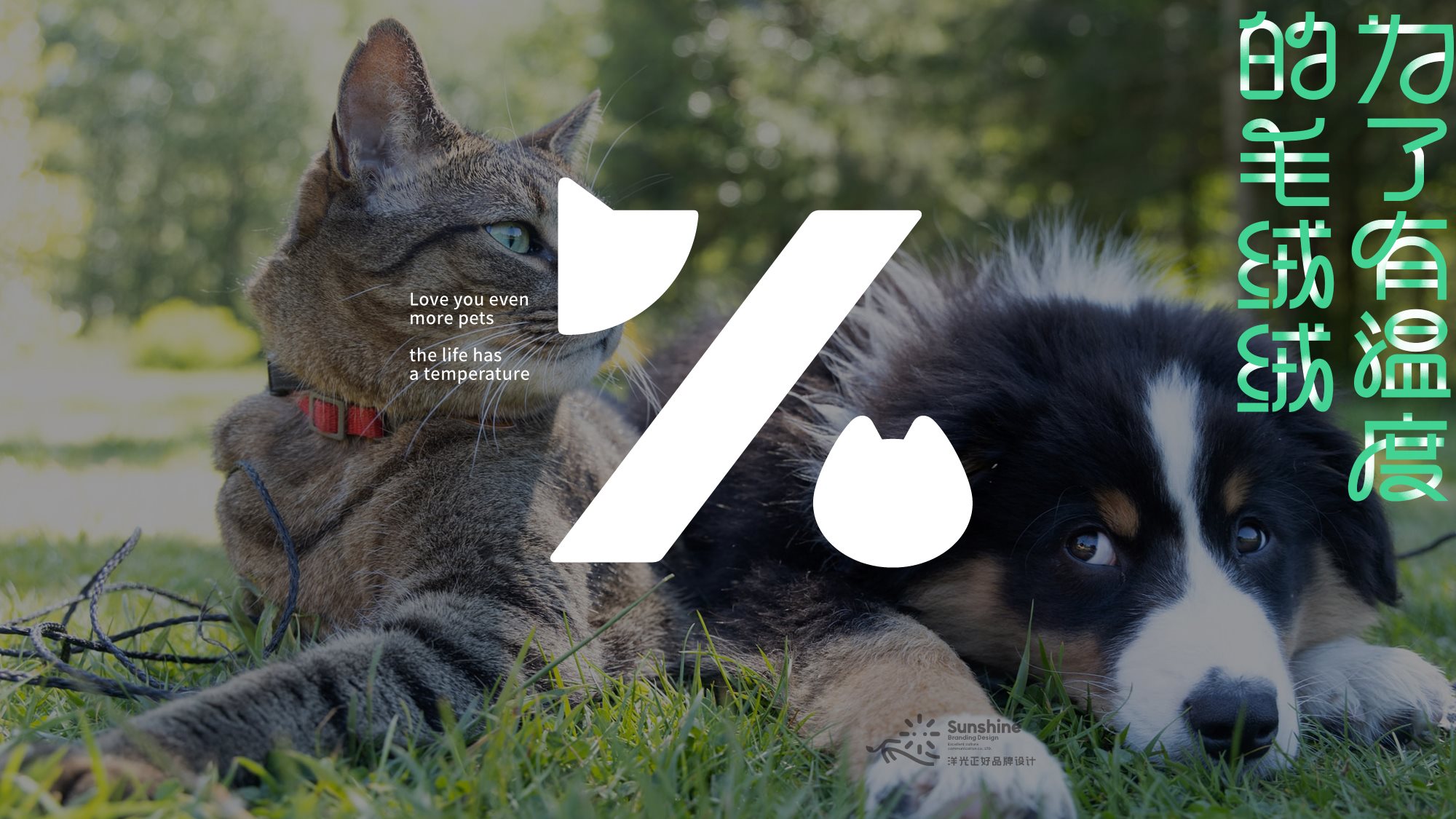 宠物品牌全案设计+LOGO+猫粮包装+包装设计+vi设计-24.jpg