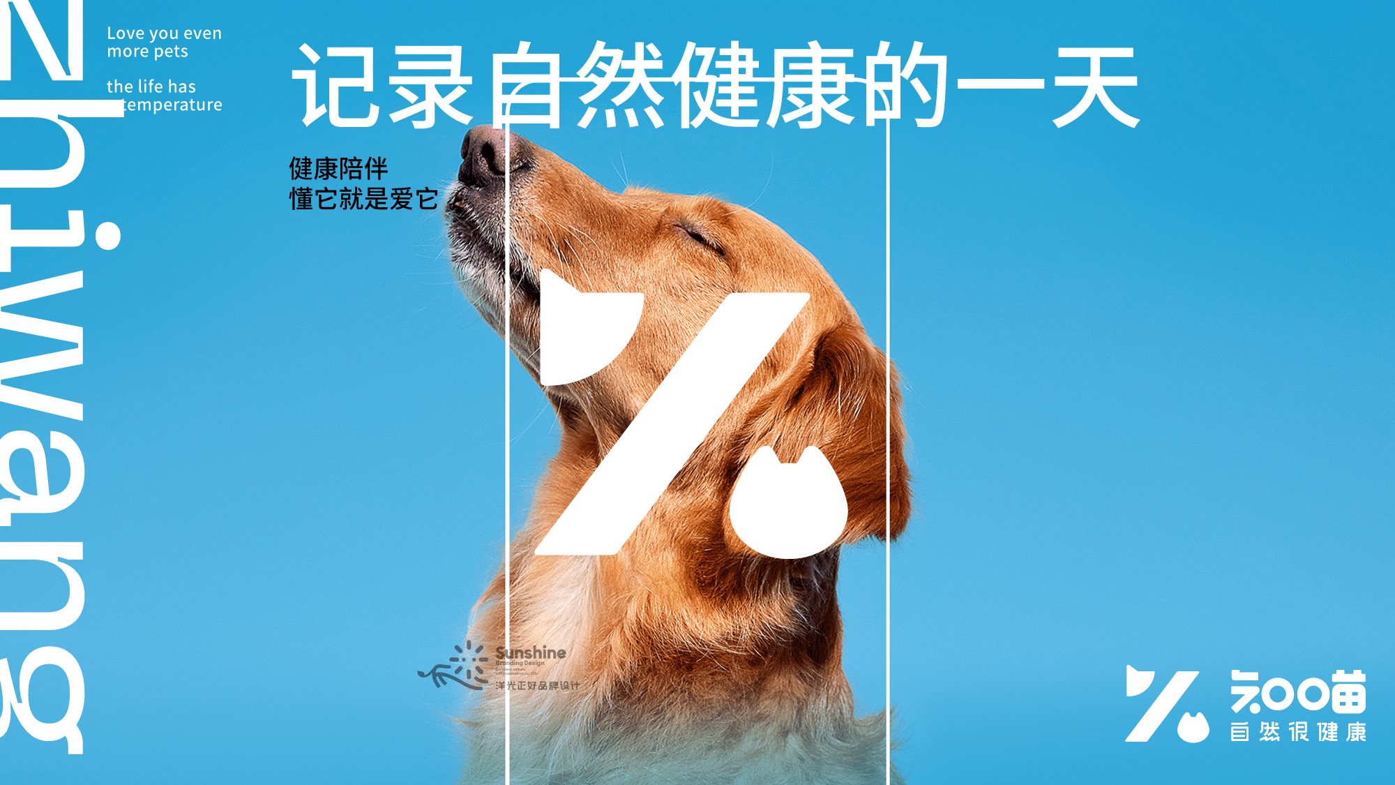 宠物品牌全案设计+LOGO+猫粮包装+包装设计+vi设计-30.jpg