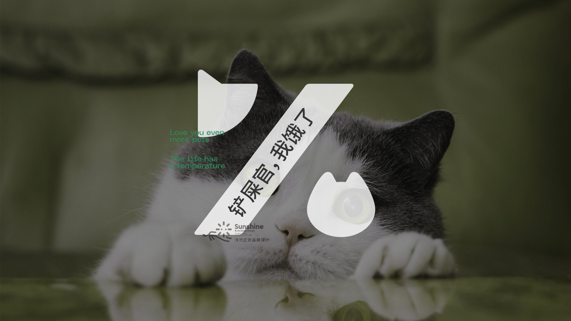 宠物品牌全案设计+LOGO+猫粮包装+包装设计+vi设计-36.jpg