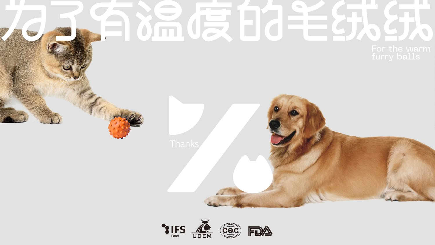 宠物品牌全案设计+LOGO+猫粮包装+包装设计+vi设计-41.jpg
