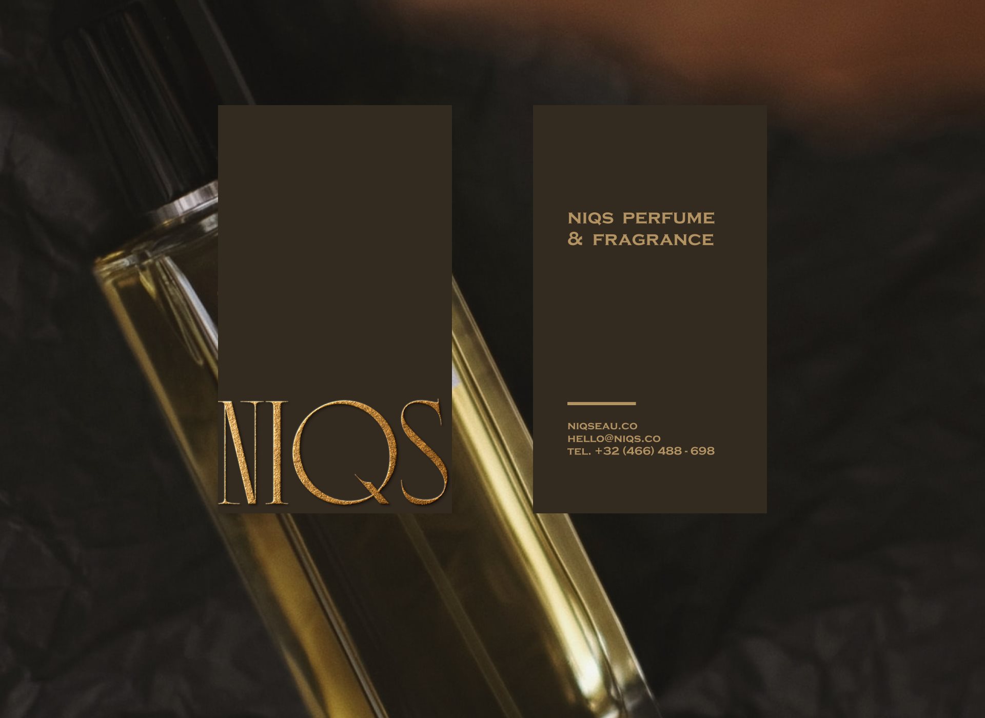 NIQS+香水标志和品牌标识-1.jpg