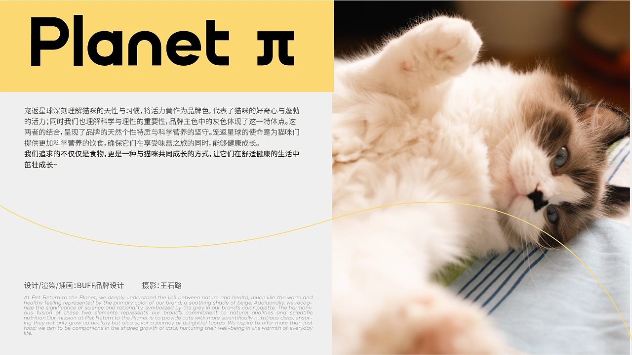 【宠返星球】宠物品牌设计vi设计包装设计-02.jpg