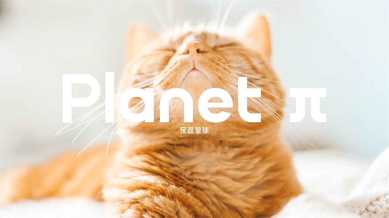 【宠返星球】宠物品牌设计vi设计包装设计-05.jpg