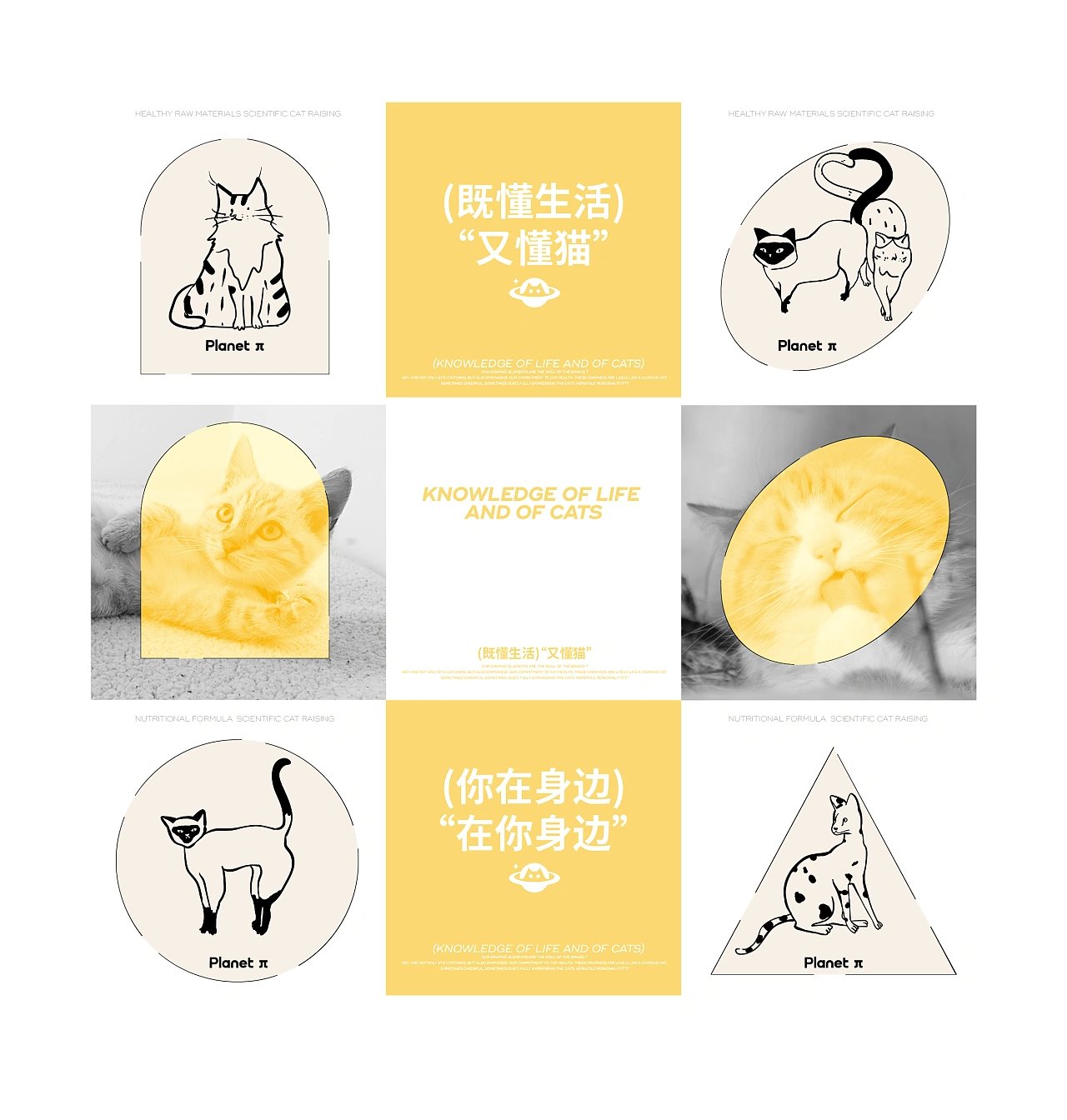 【宠返星球】宠物品牌设计vi设计包装设计-11.jpg