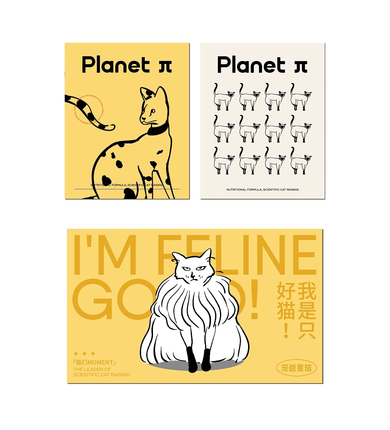 【宠返星球】宠物品牌设计vi设计包装设计-14.jpg