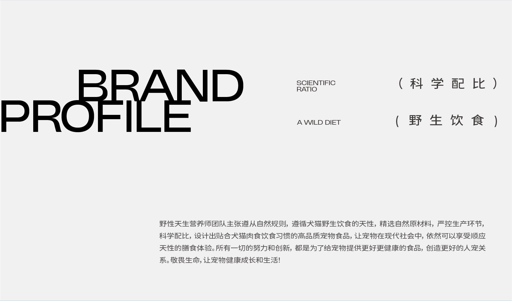 猫粮包装设计+宠物包装设计+宠物VI设计+宠物品牌设计-02.jpg