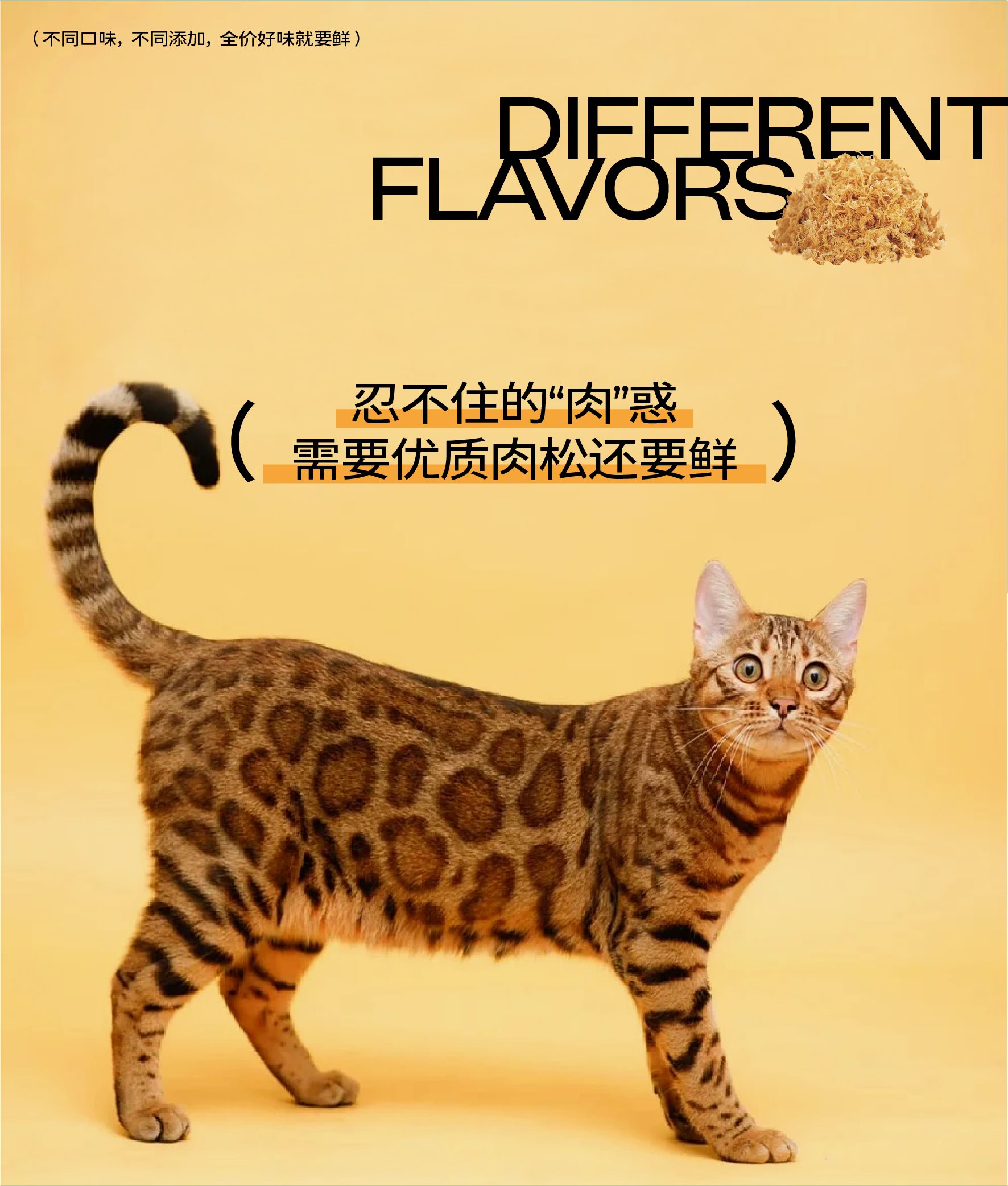 猫粮包装设计+宠物包装设计+宠物VI设计+宠物品牌设计-03.jpg
