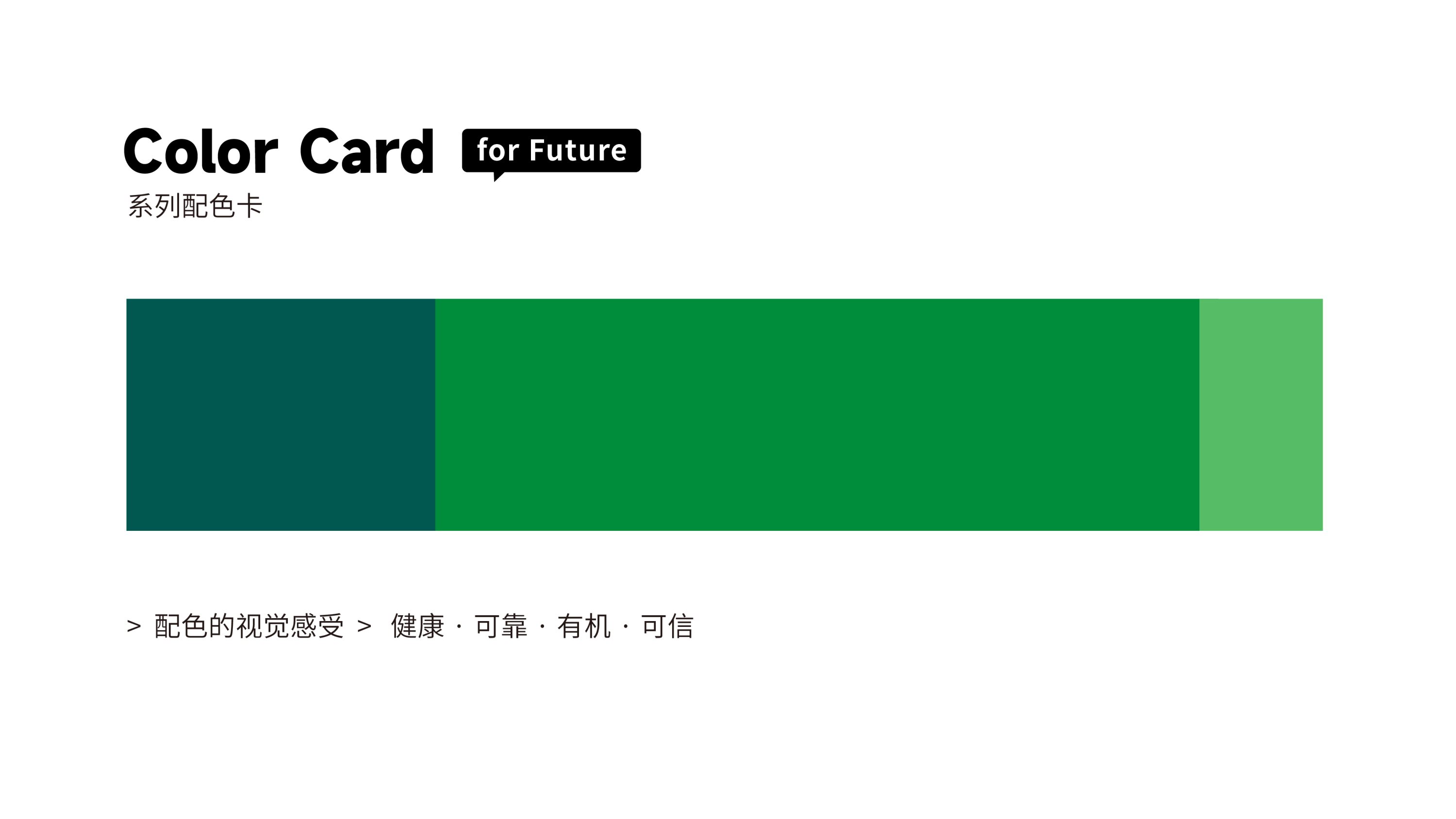 宠物品牌全案设计标志升级系列包装设计-28.jpg