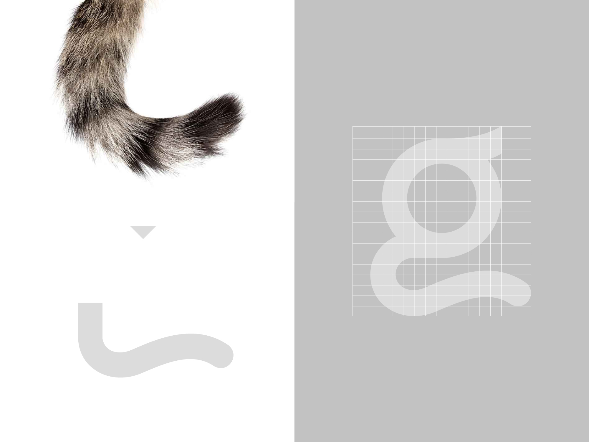 gooda+咕哒+宠物品牌+猫砂包装设计-03.jpg