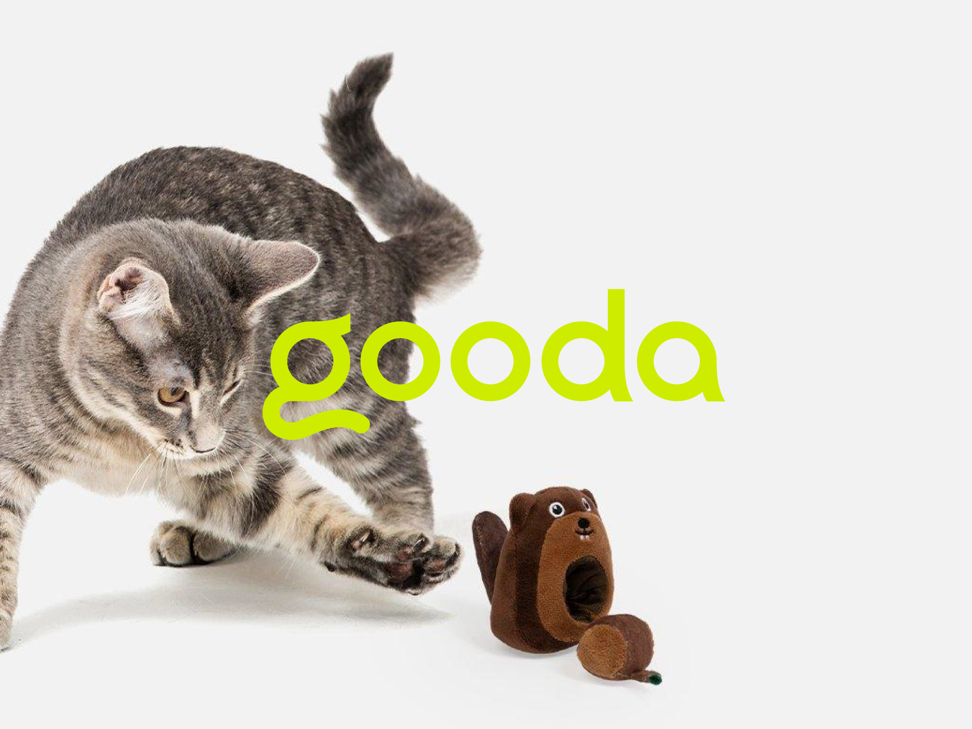 gooda+咕哒+宠物品牌+猫砂包装设计-09.jpg