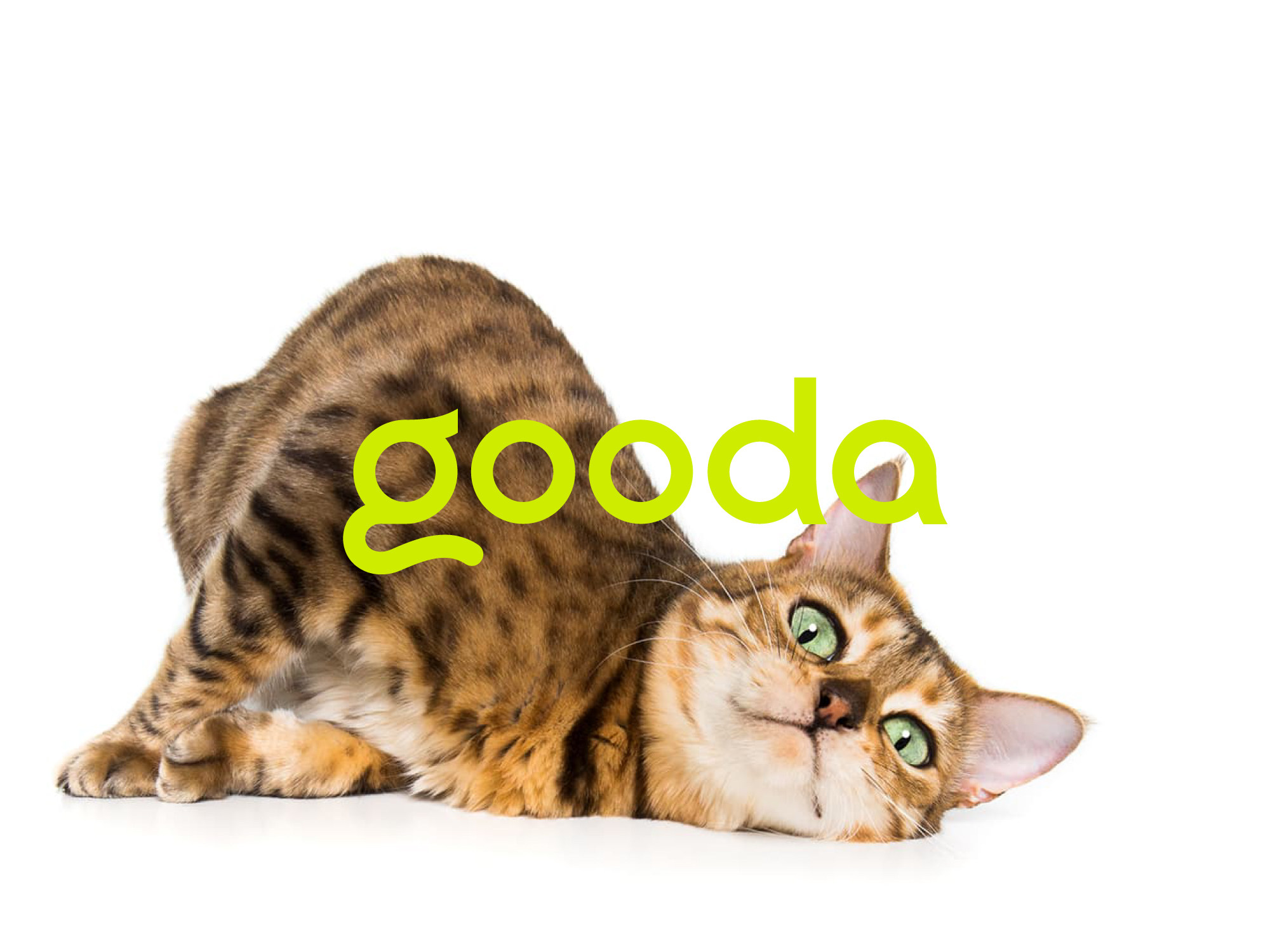 gooda+咕哒+宠物品牌+猫砂包装设计-28.jpg