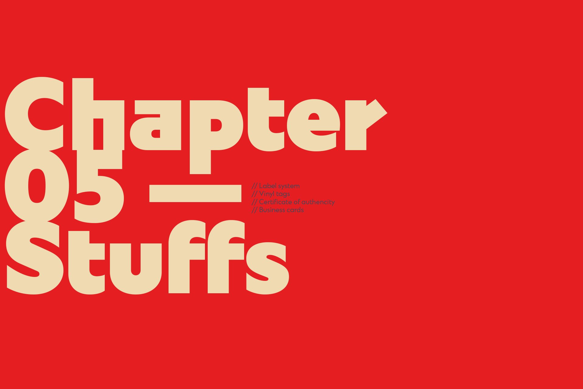Vinylize+new+identity+standards-24.jpg
