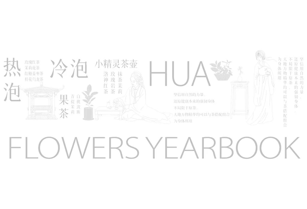 花茶包装设计+代用茶包装设计+袋泡茶包装设计-02.jpg