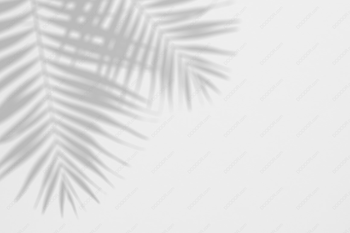 10449_逼真模糊自然植物枝叶投影光线PSD光影背景素材-10.jpg