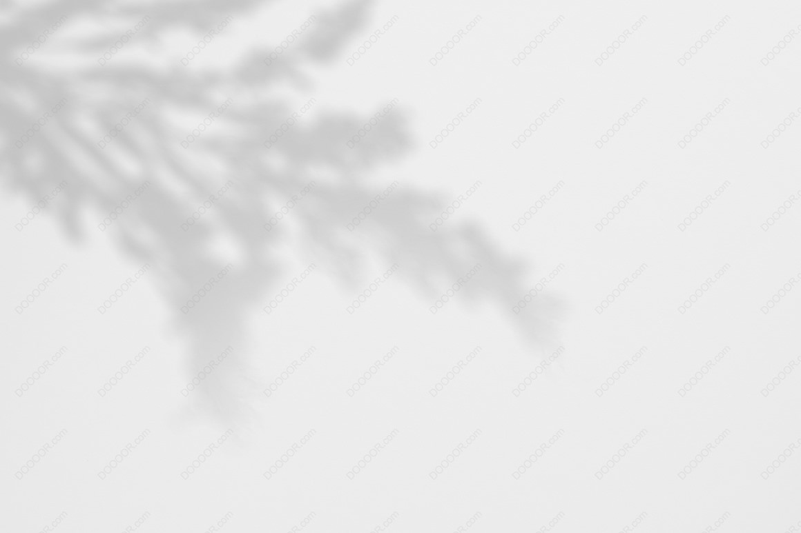 10450_逼真模糊自然植物枝叶投影光线PSD光影背景素材-11.jpg