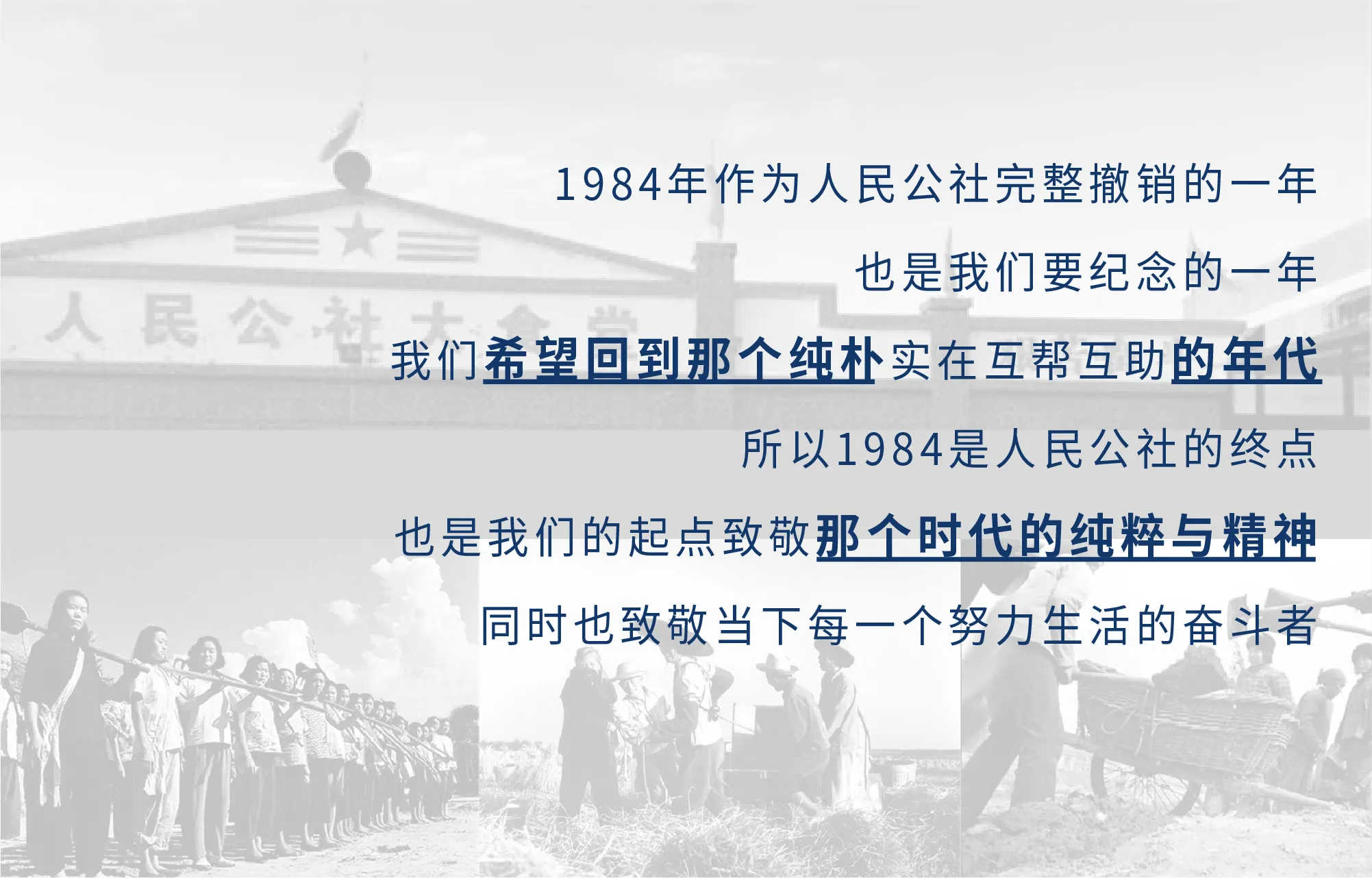 1984经典豆奶包装设计-1+(18).jpg