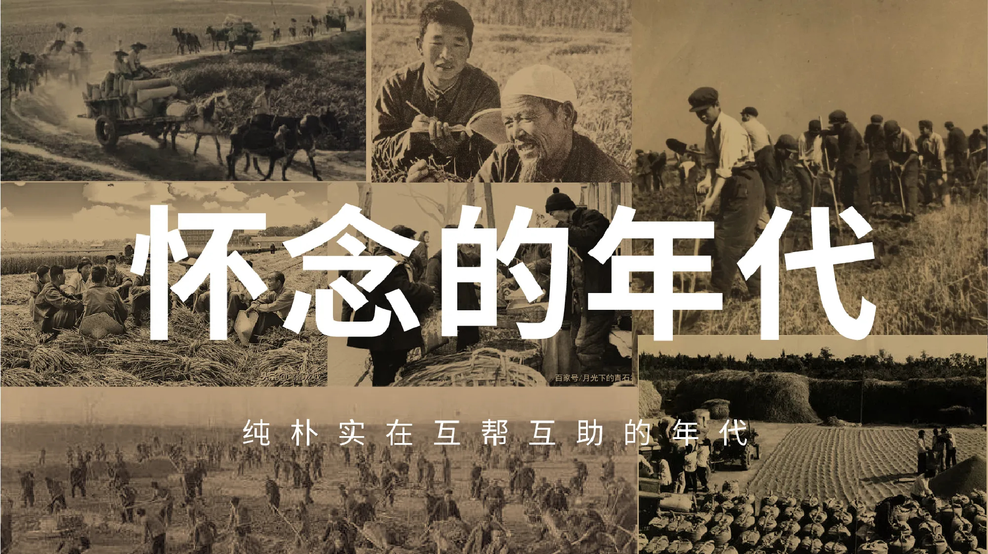 1984经典豆奶包装设计-1+(19).jpg