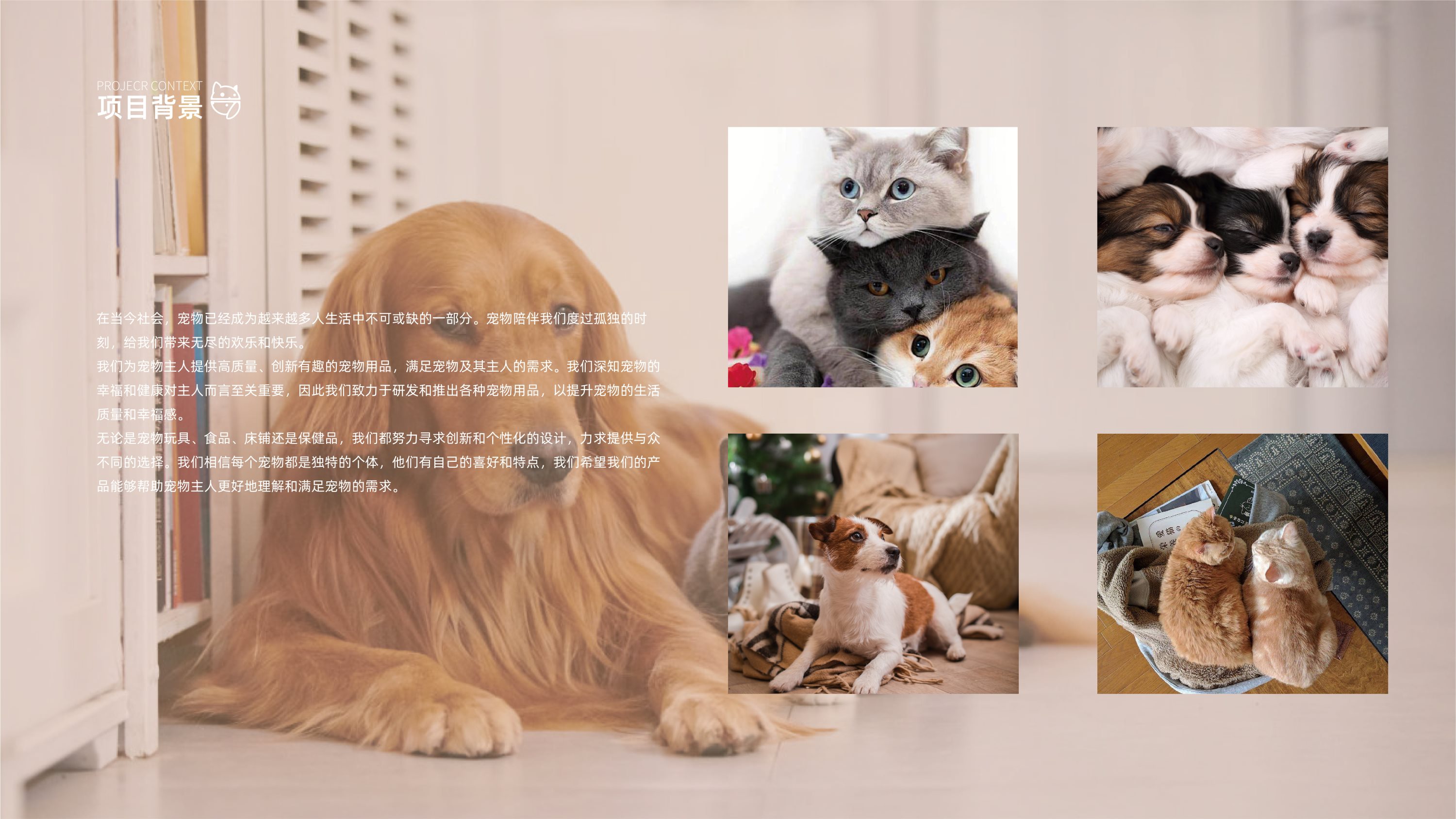 宠物用品品牌全案设计+LOGO+包装+vi设计+宠物品牌-04.jpg
