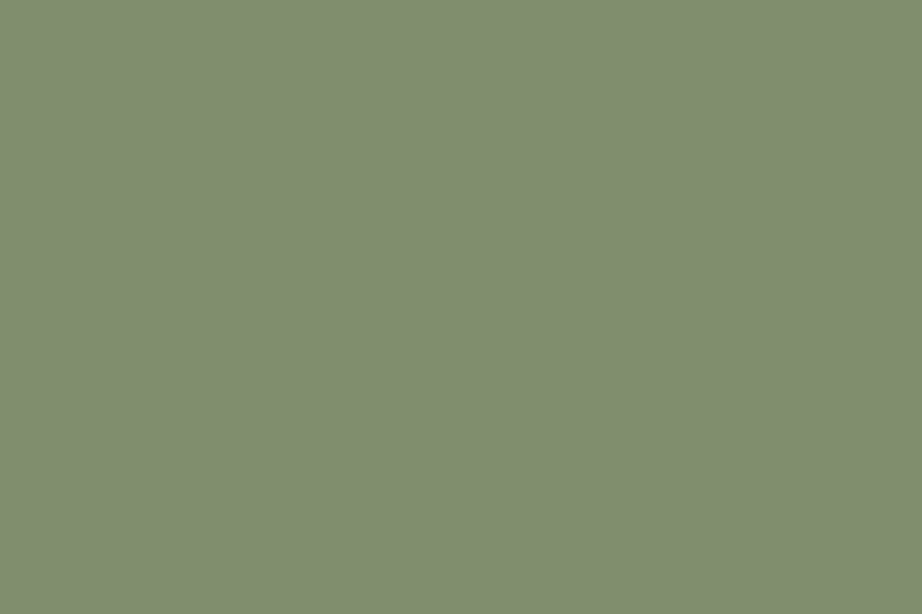 蔓蔓莱东南亚餐厅-品牌策略视觉设计-4.gif
