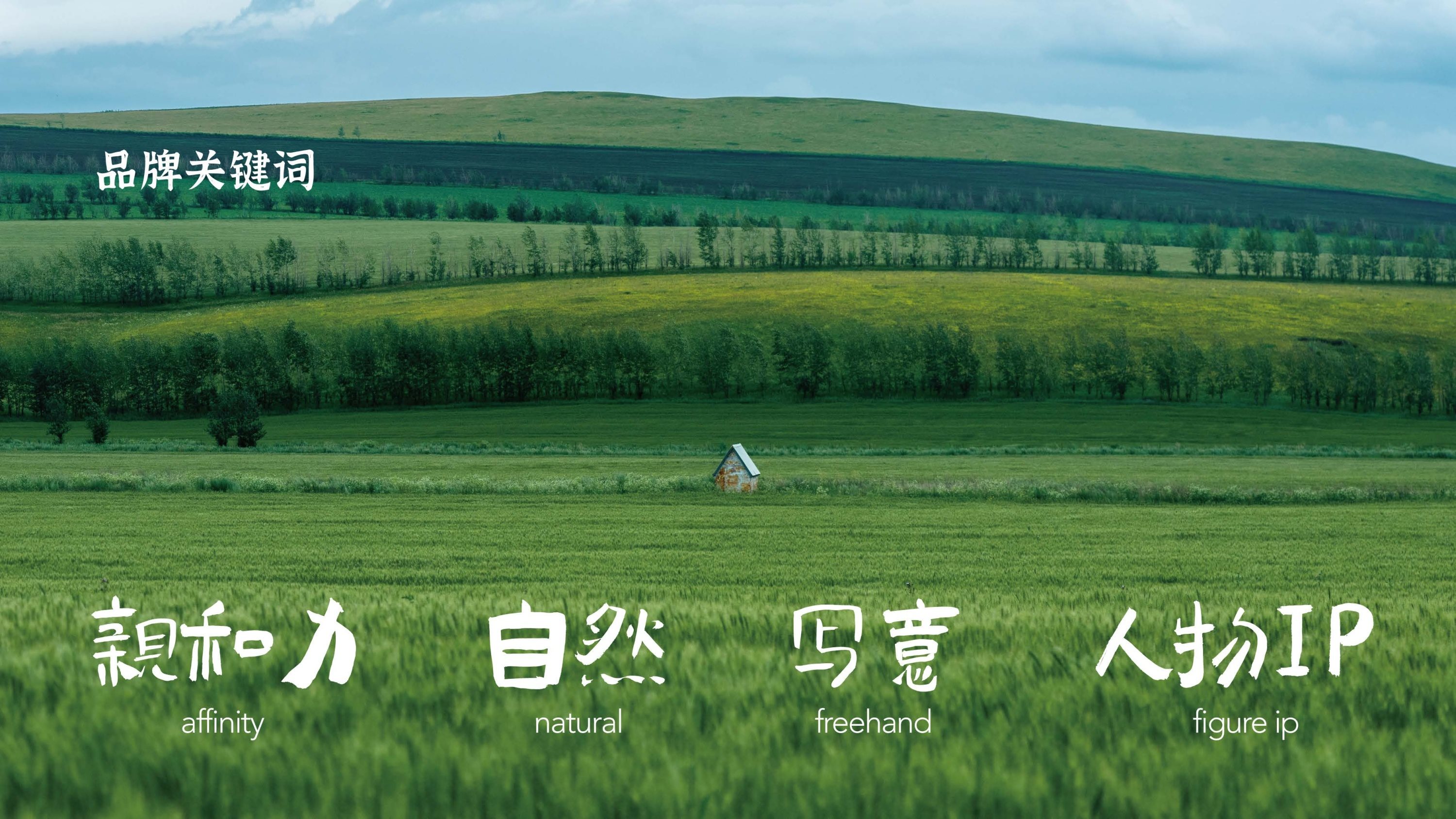 疆小糖+X+大于等于+∣+干果特产礼品+品牌&amp;包装设计-03.jpg
