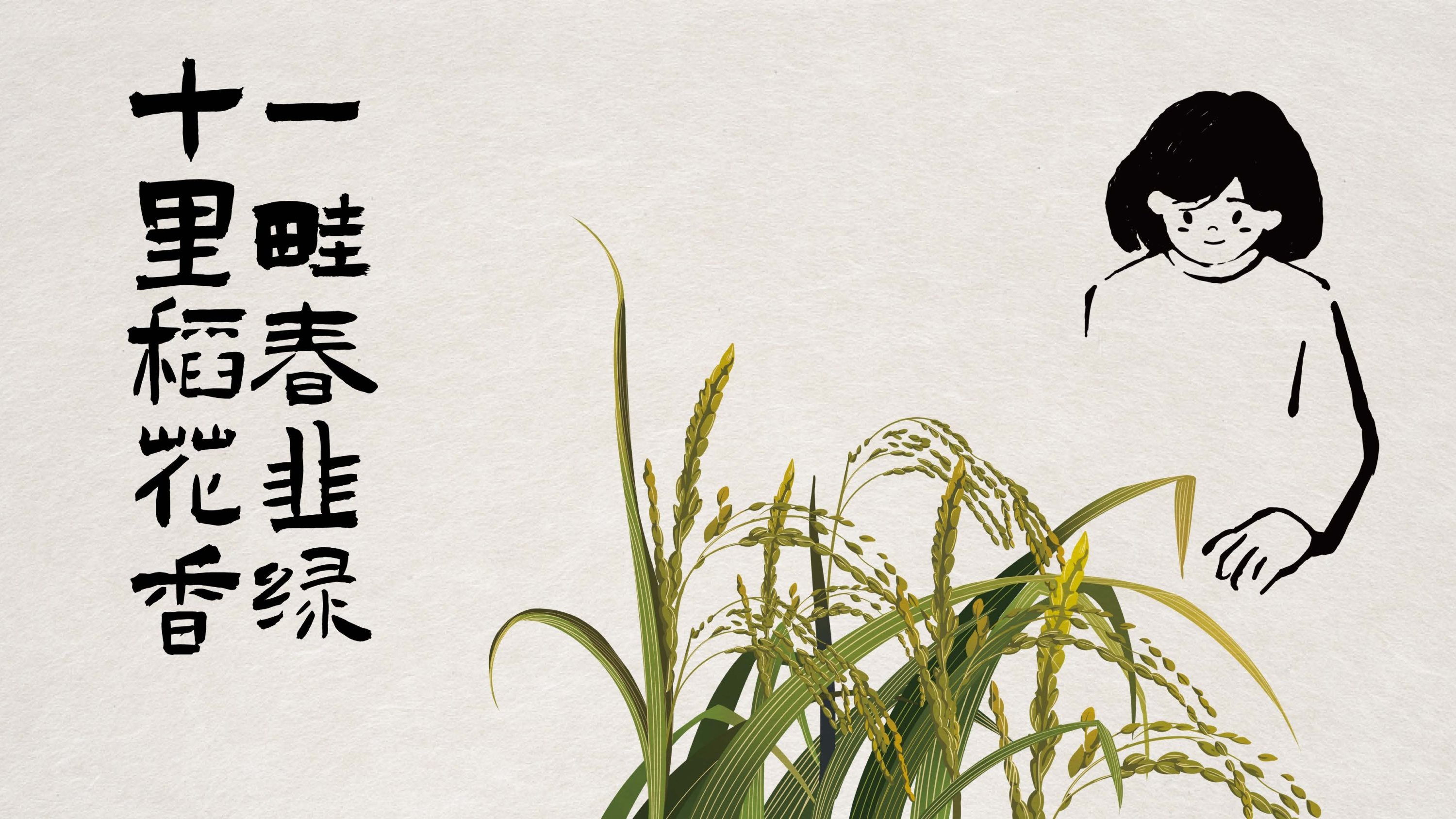 疆小糖+X+大于等于+∣+干果特产礼品+品牌&amp;包装设计-08.jpg