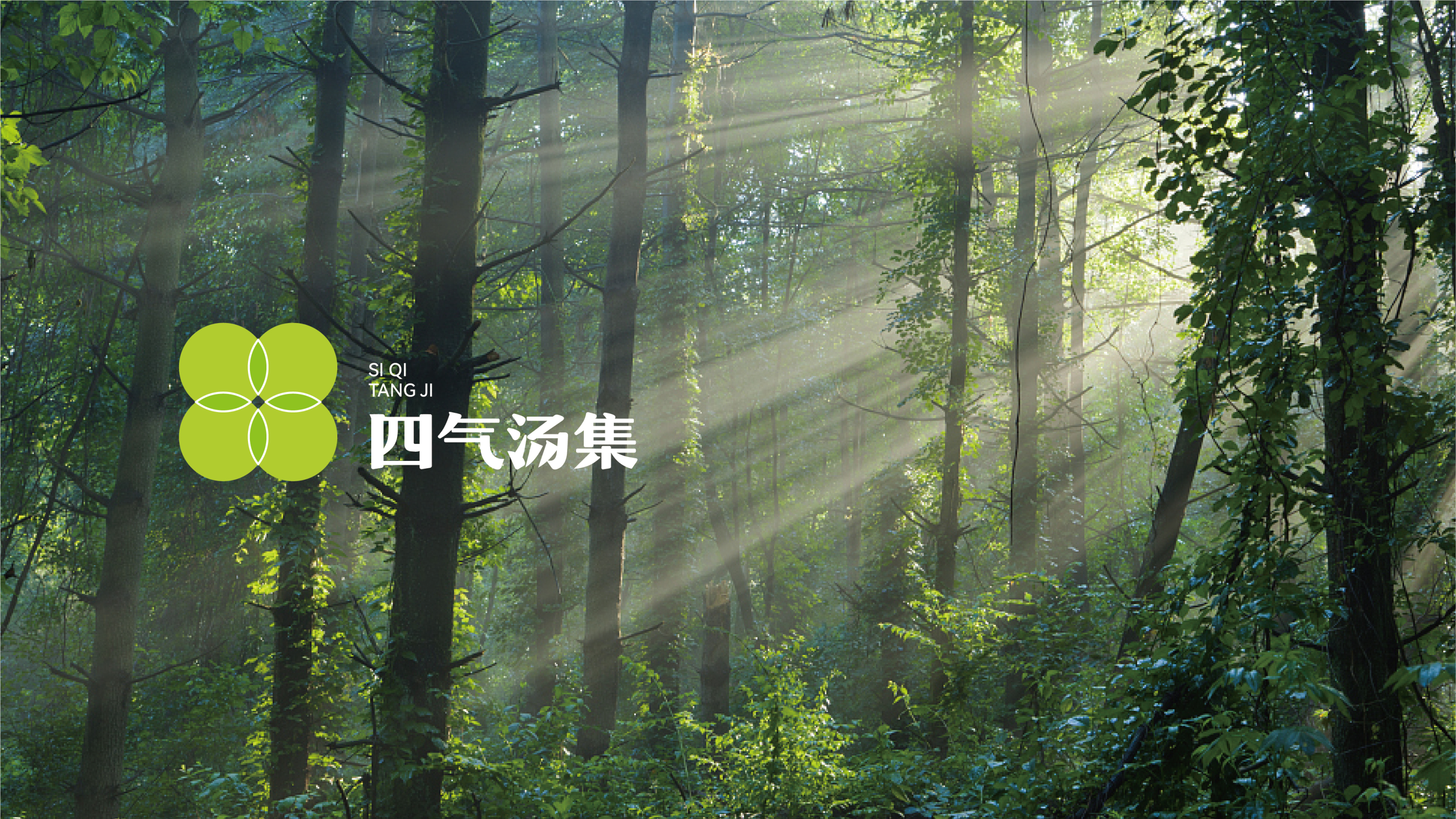 四气汤集-品牌全案丨VI丨插画-09.jpg
