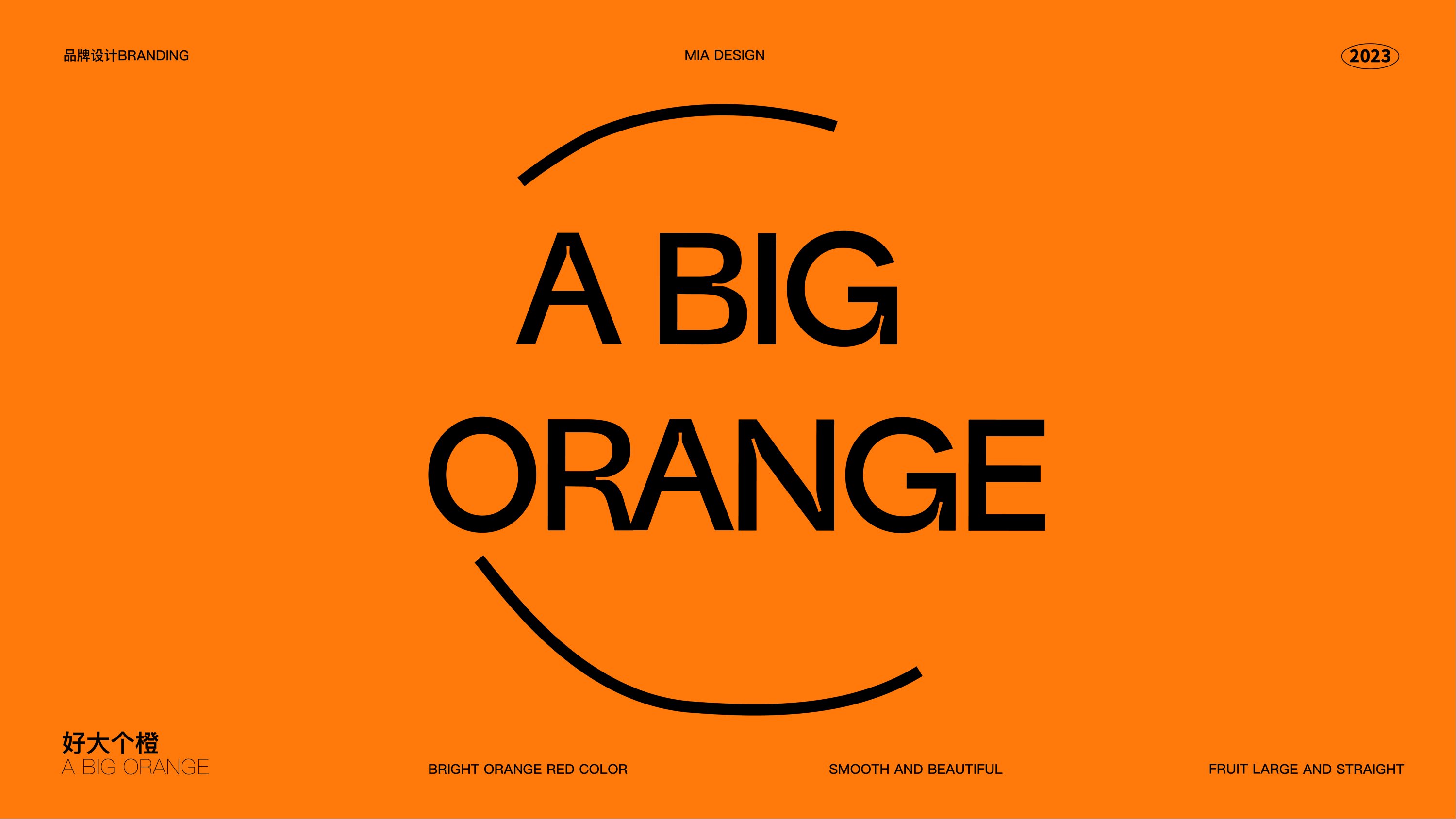 「好大个橙」A+BIG+ORANGE+果蔬品牌形象VI设计-01.jpg