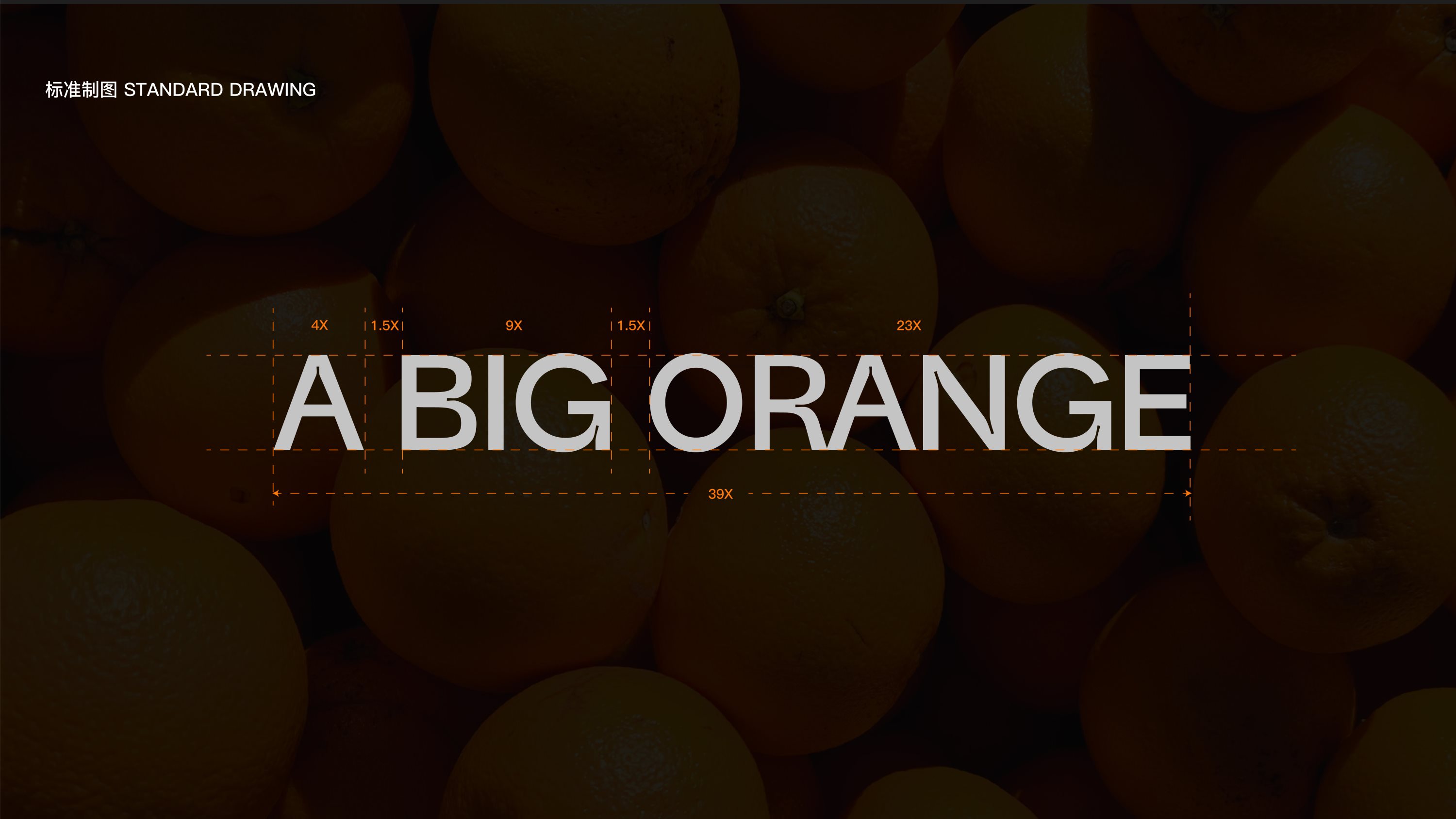 「好大个橙」A+BIG+ORANGE+果蔬品牌形象VI设计-04.jpg