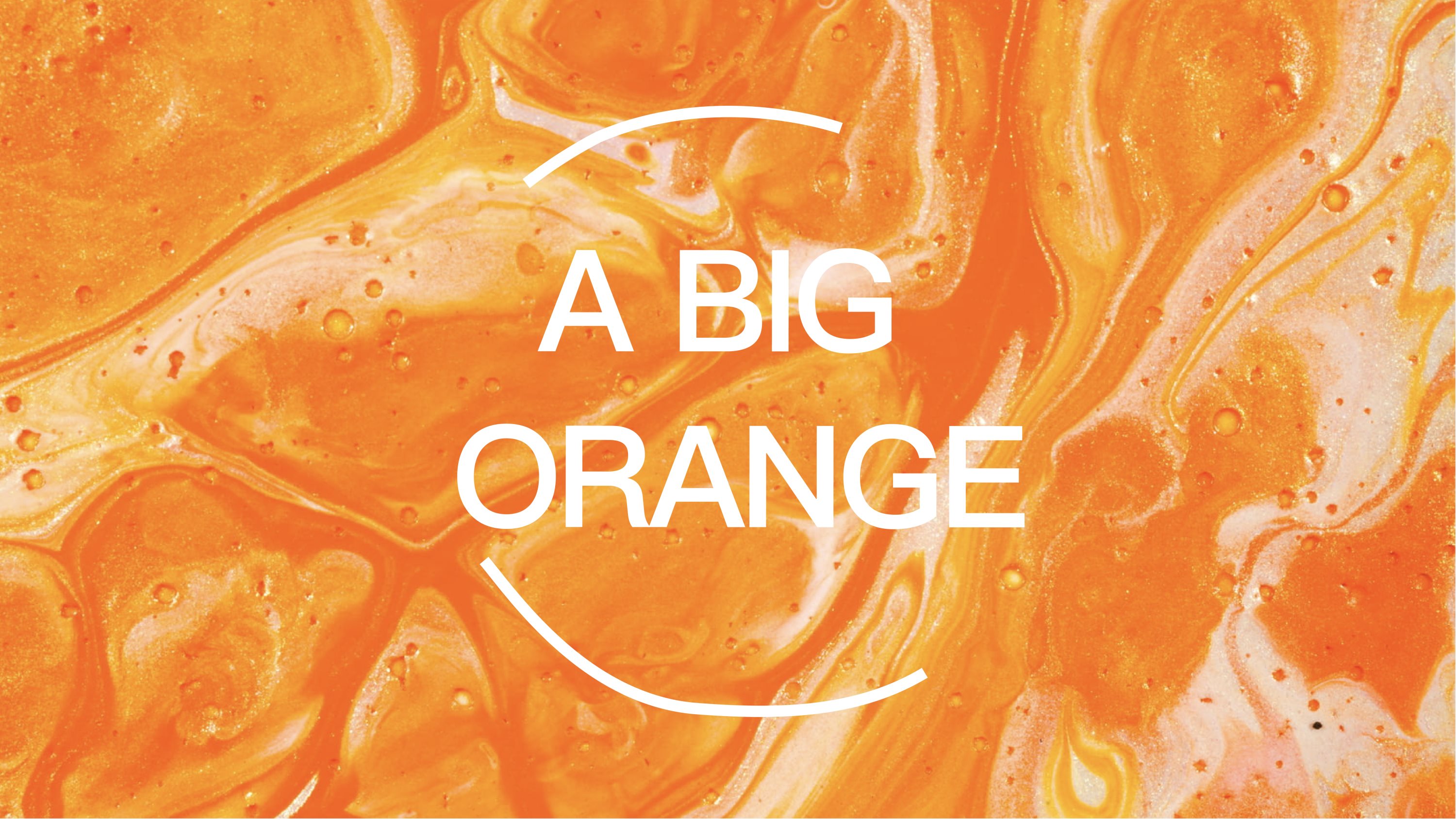 「好大个橙」A+BIG+ORANGE+果蔬品牌形象VI设计-06.jpg