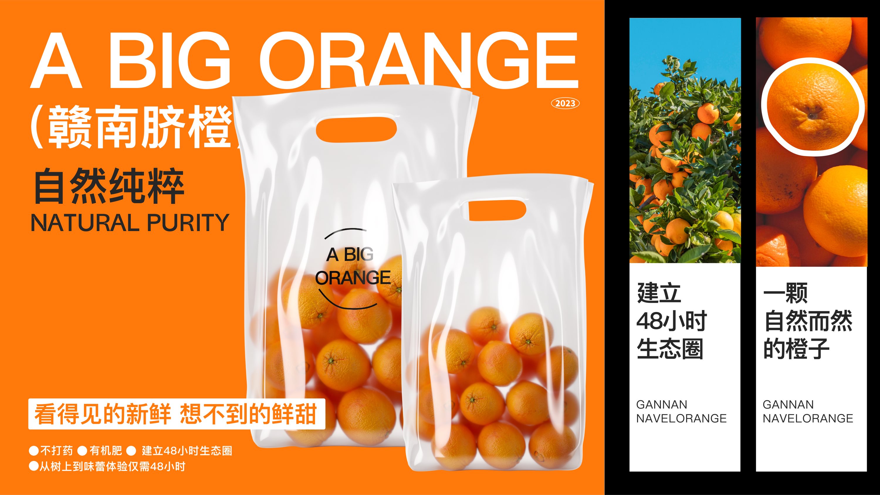 「好大个橙」A+BIG+ORANGE+果蔬品牌形象VI设计-08.jpg