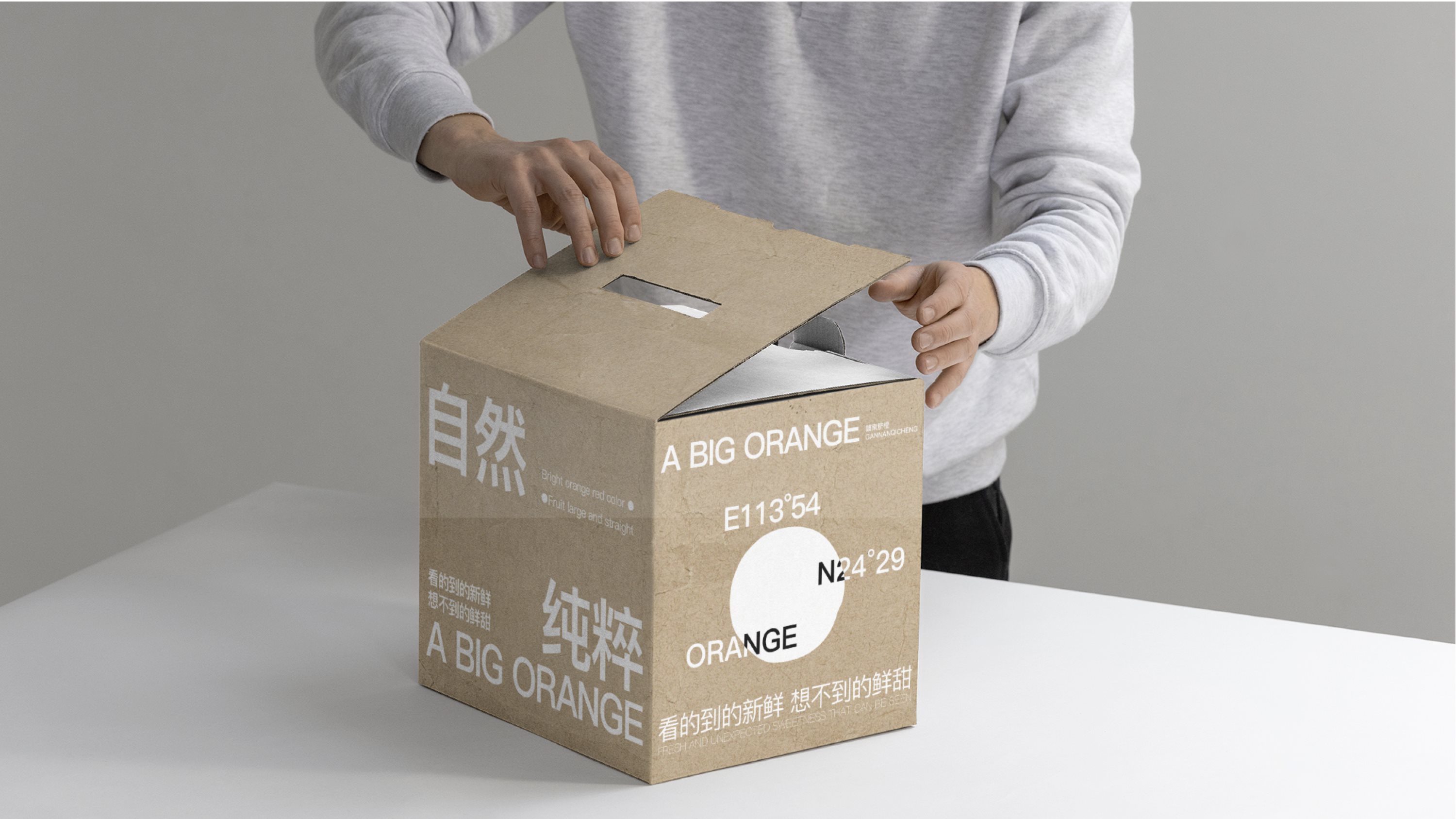 「好大个橙」A+BIG+ORANGE+果蔬品牌形象VI设计-14.jpg
