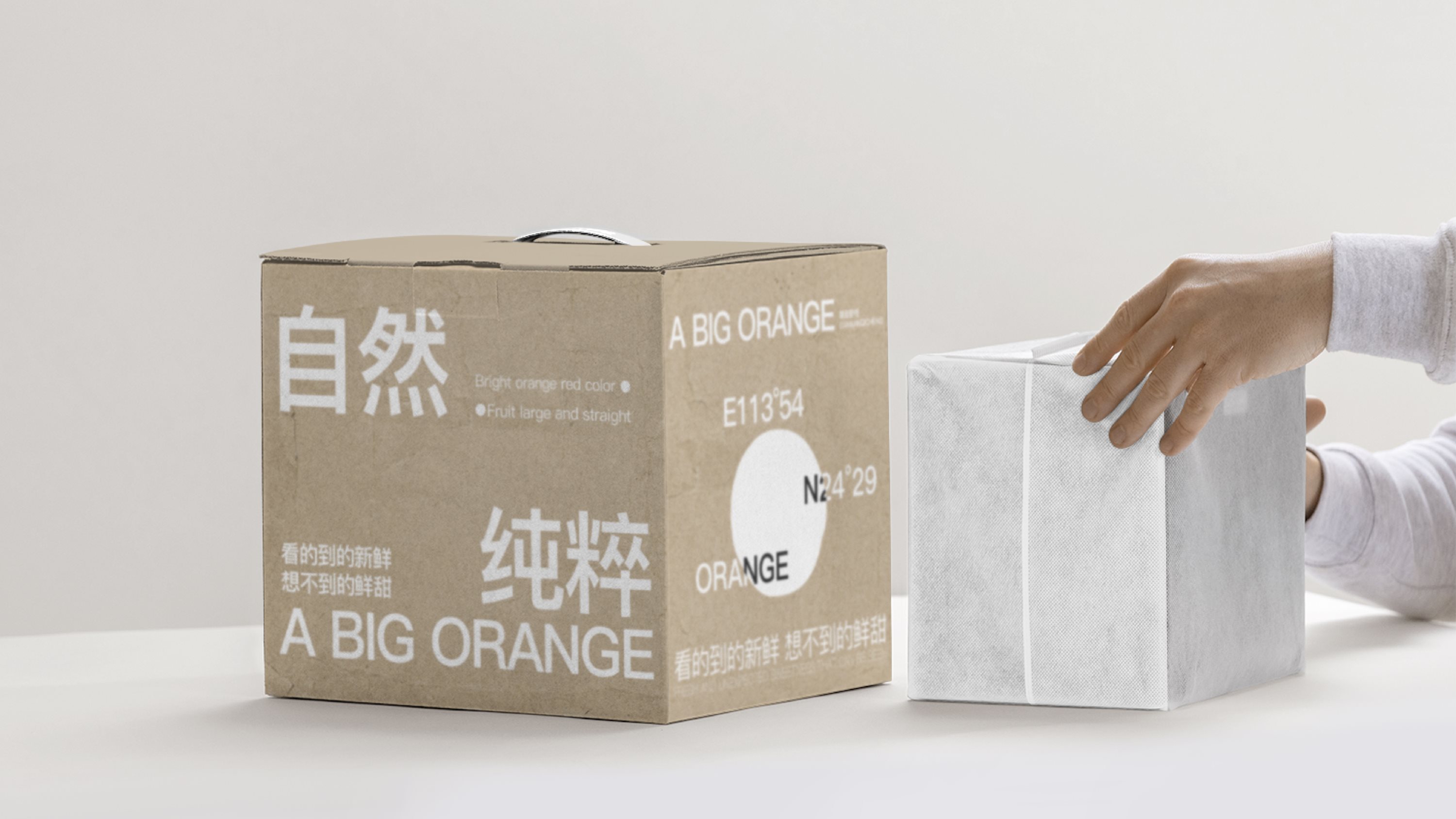 「好大个橙」A+BIG+ORANGE+果蔬品牌形象VI设计-15.jpg