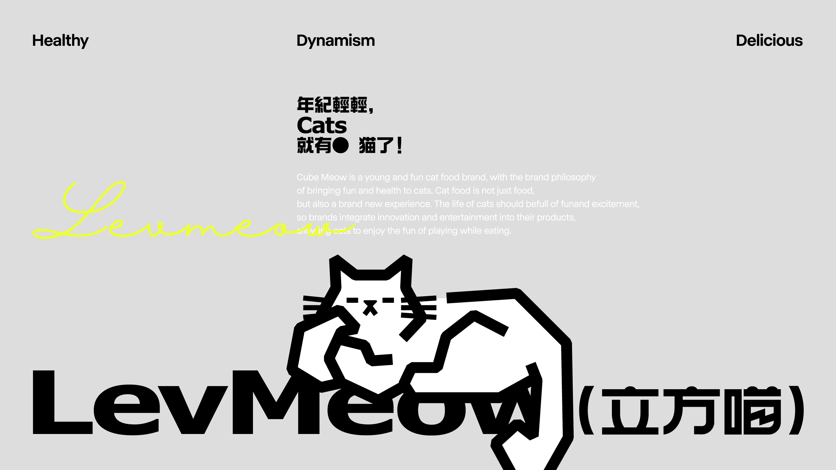 LevMeow立方喵猫粮++品牌设计方案-03.jpg
