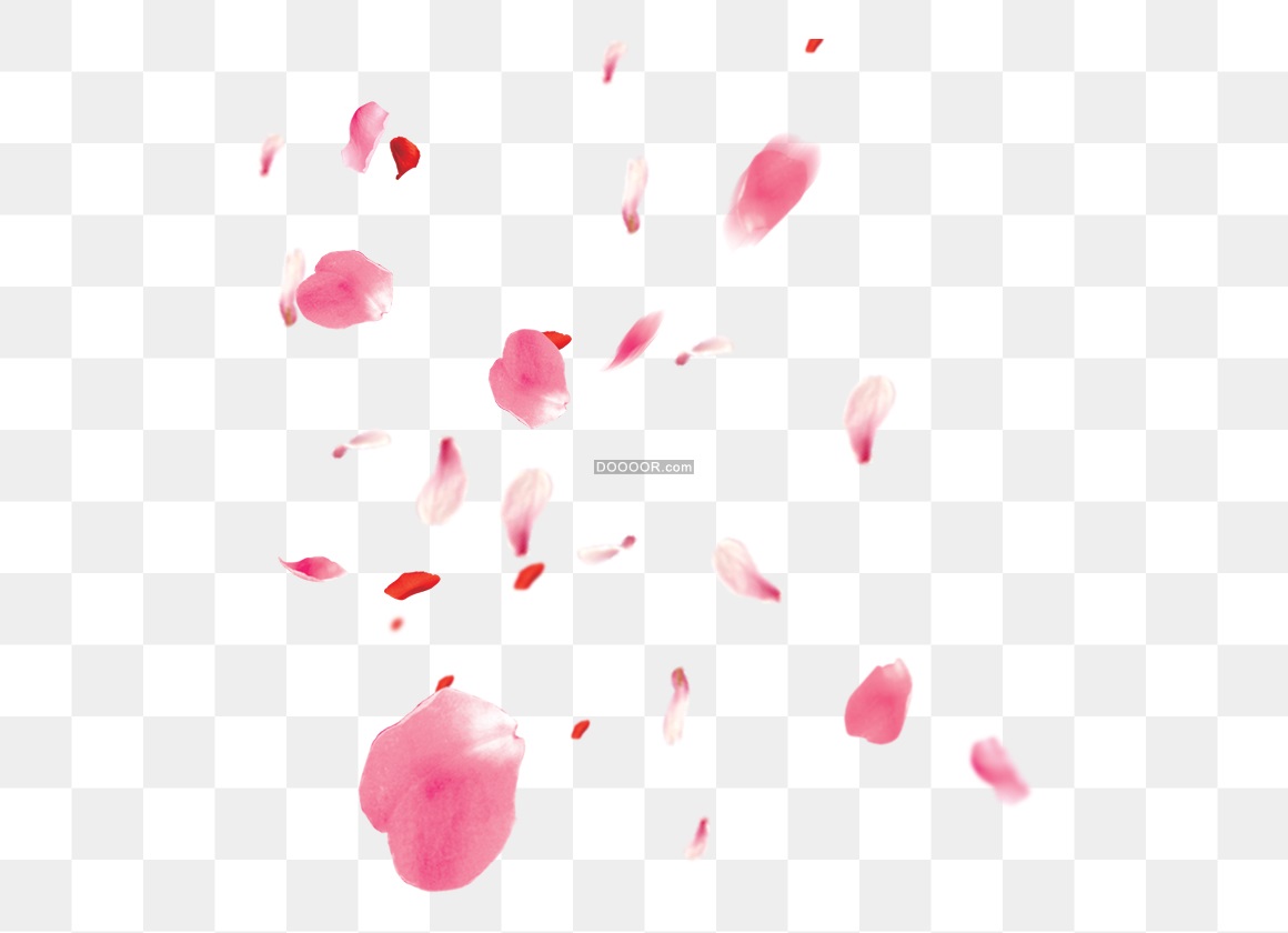13141_粉红色花瓣飘落-06.jpg