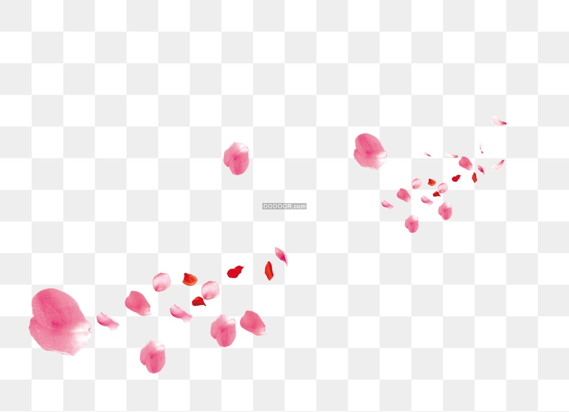 13138_粉红色花瓣飘落-03.jpg