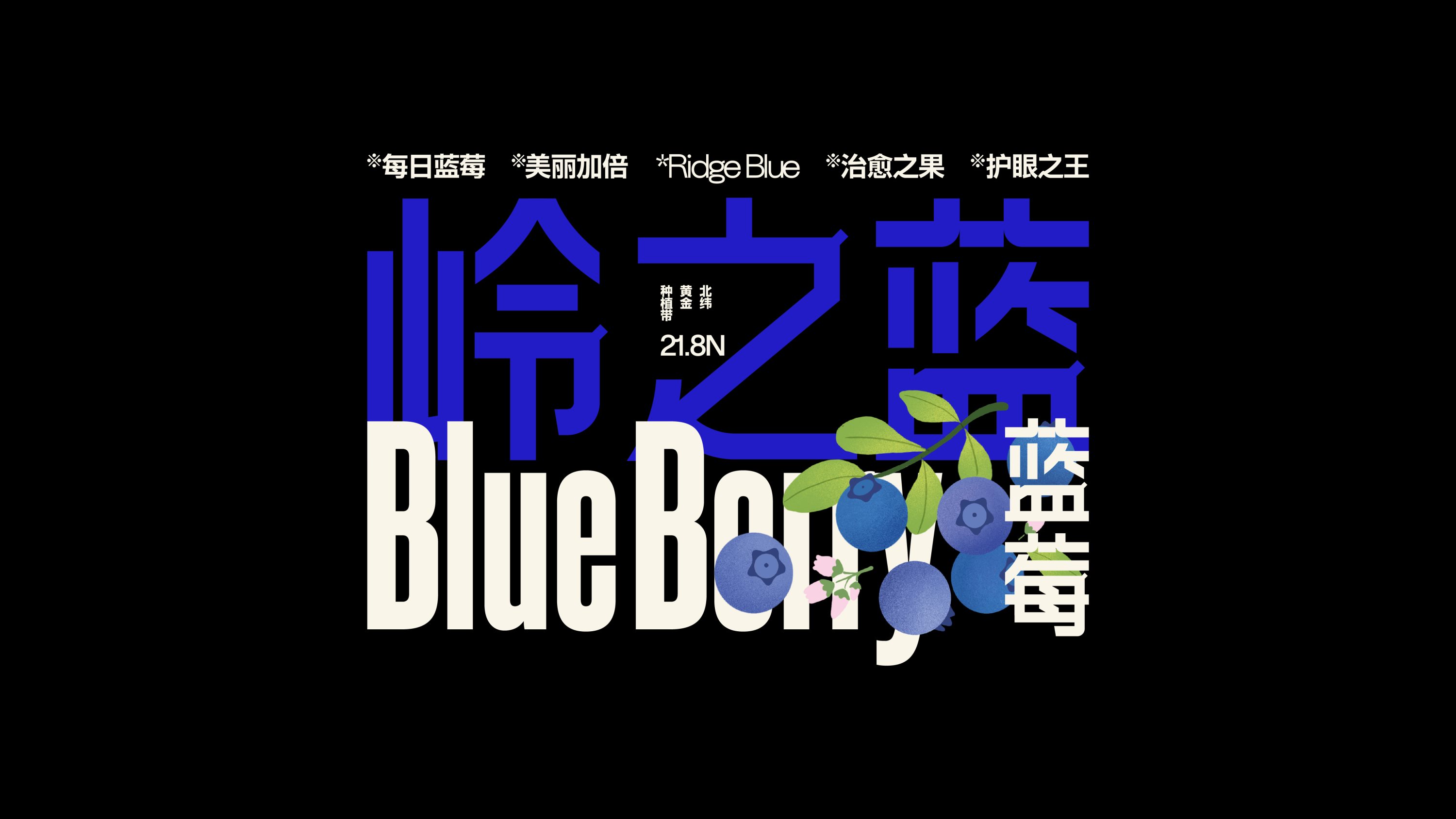 水果外包装字体设计视觉设计-04.jpg