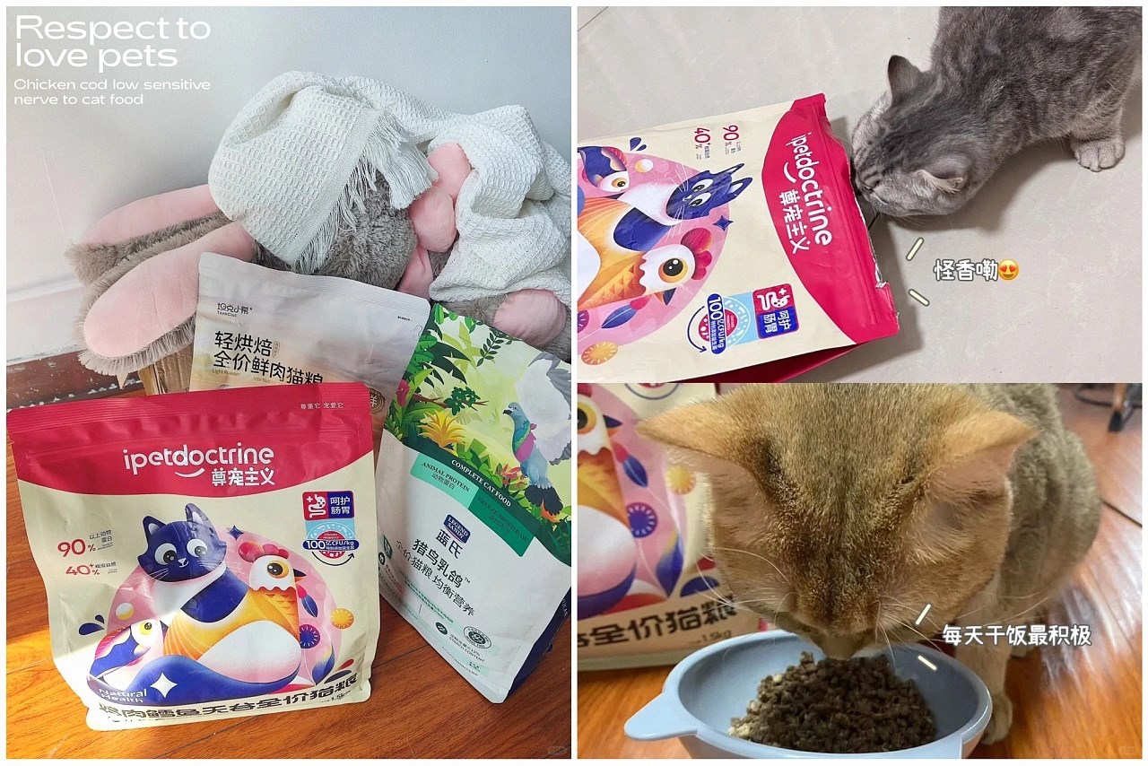猫粮包装设计+宠物包装+冻干+宠物零食+重庆-郑昌洪+[46P]+(42).jpg