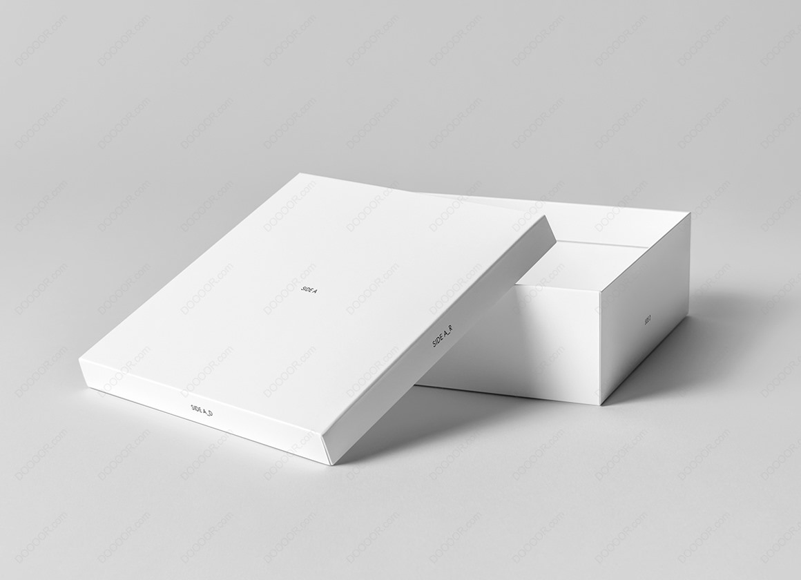 12617_扁方形扣盖式鞋盒包装样机-03.jpg