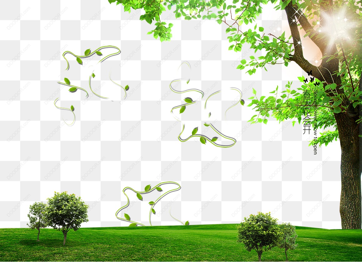 13420_阳光穿透树木洒落绿色草地免扣PNG.jpg