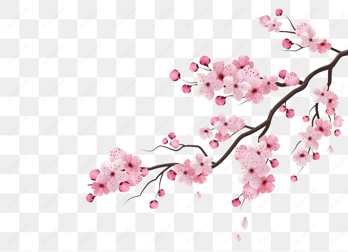 13433_粉色樱花树枝植物花草元素-09.jpg