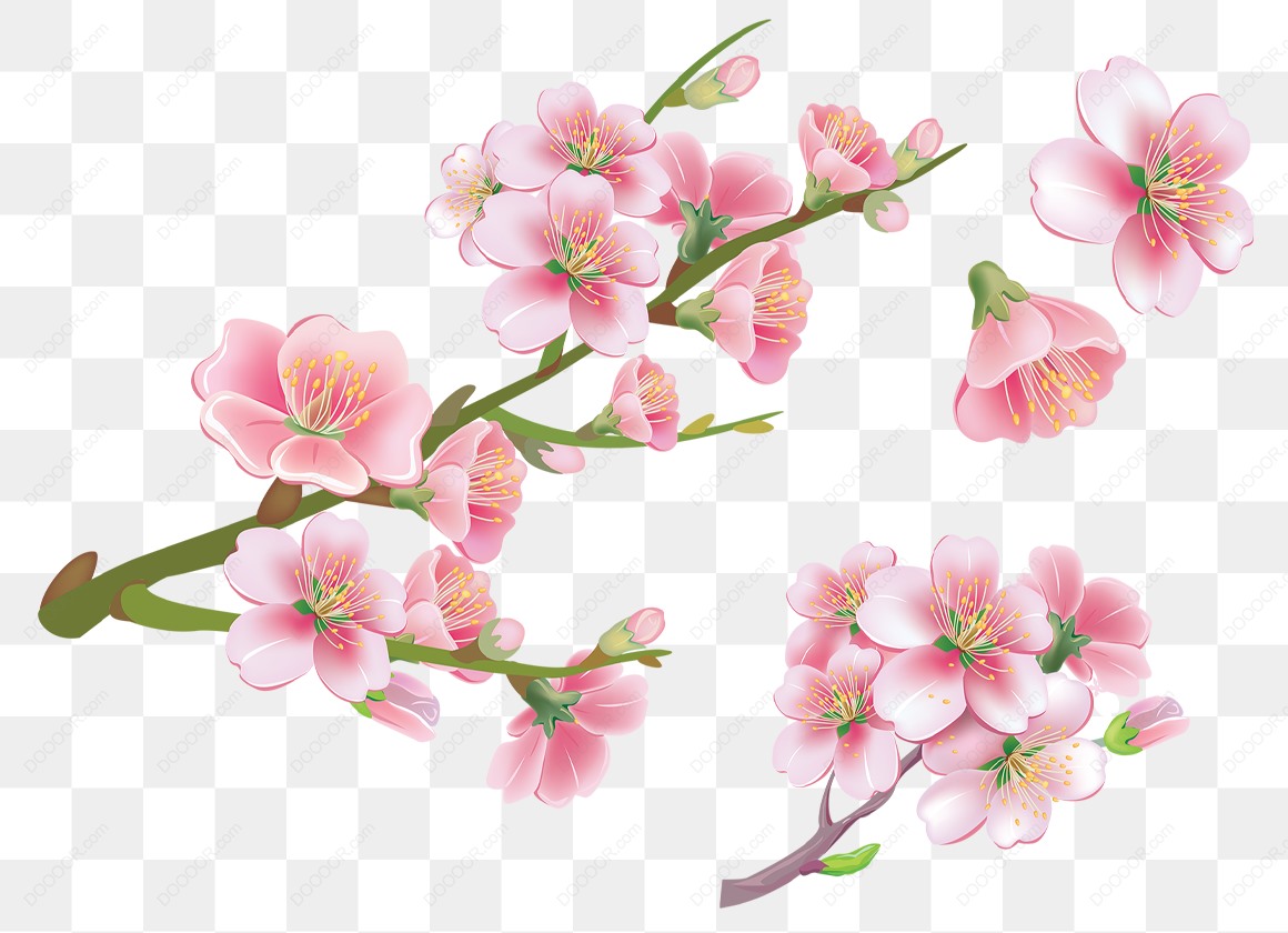 13437_植物元素粉色樱花树枝花草-02.jpg