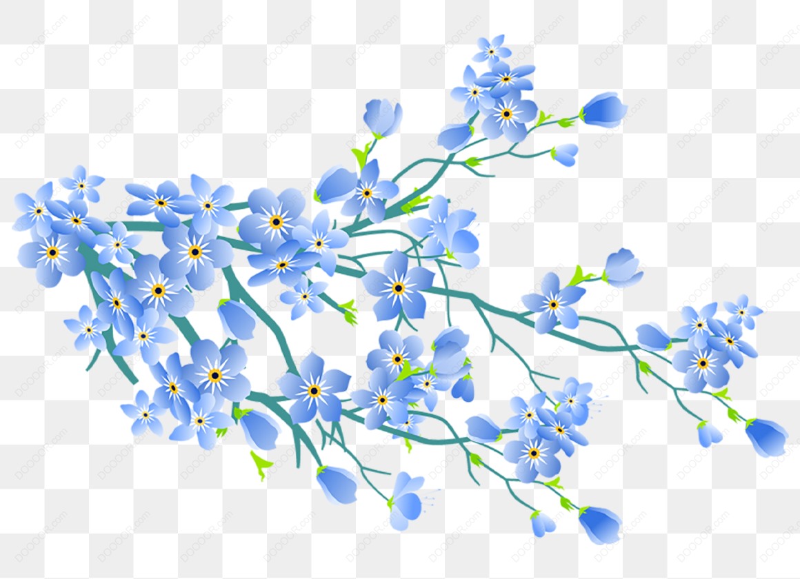 13442_植物盛开的蓝色花朵免抠PNG.jpg