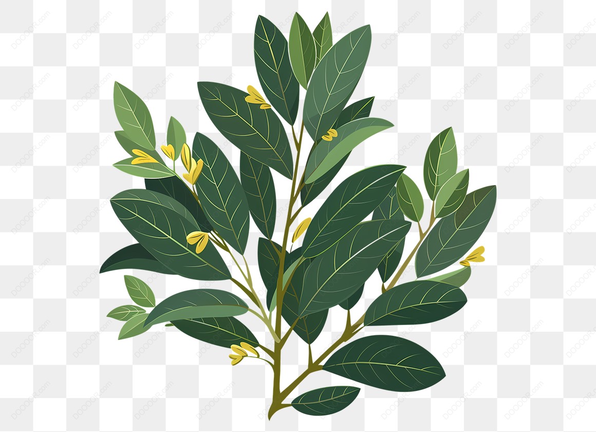 13484_树叶绿叶小树枝点缀小黄花透明PNG.jpg