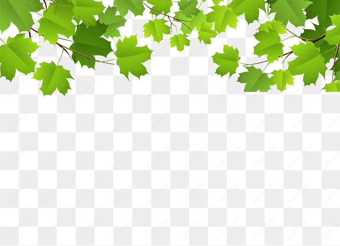 13492_树叶绿叶春季夏季透明PNG.jpg