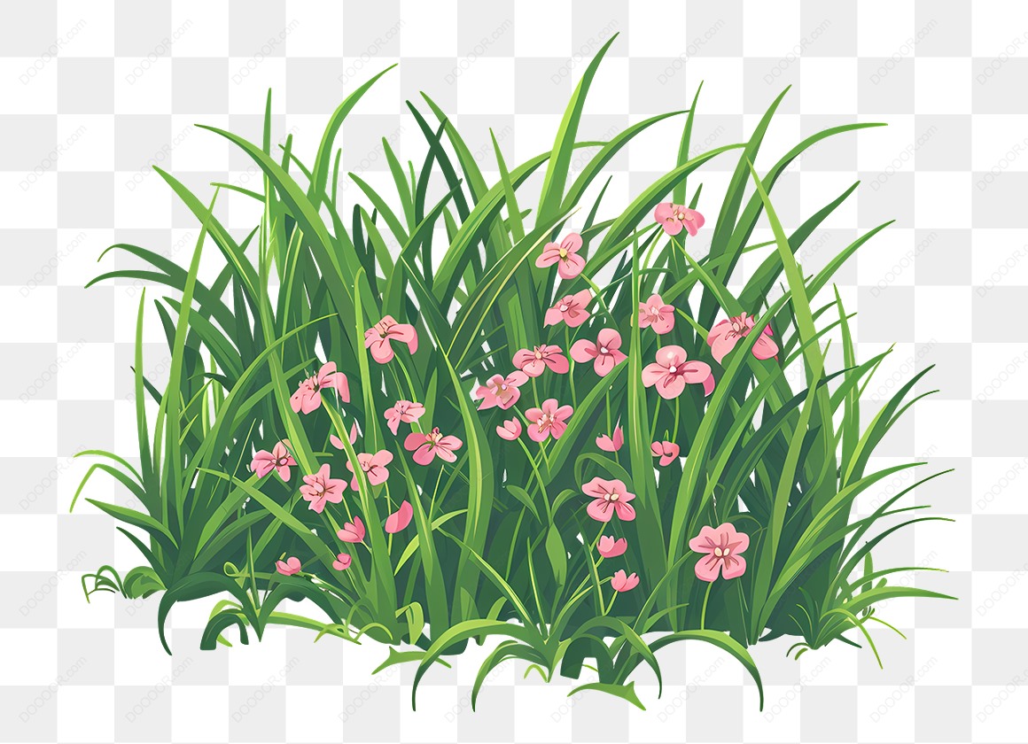 13562_草丛绿色植物春季元素免抠PNG-05.jpg