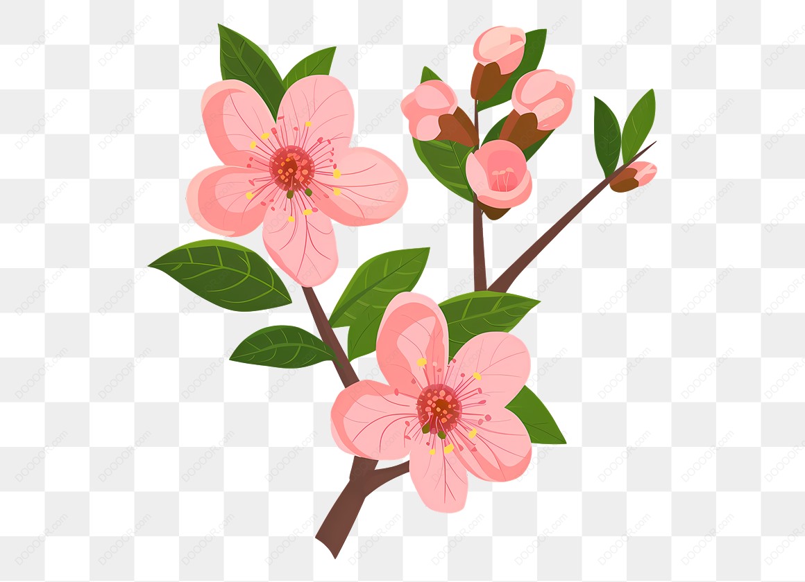 13572_粉色桃花盛开春季元素免抠PNG-07.jpg